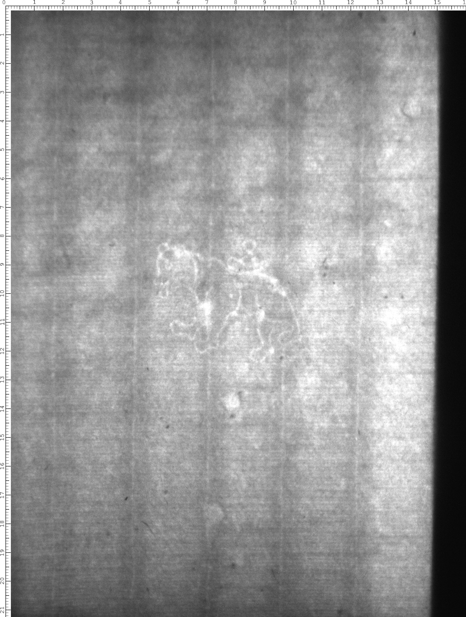 Watermark