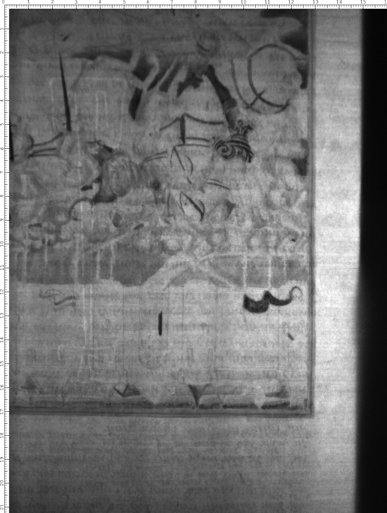 Watermark
