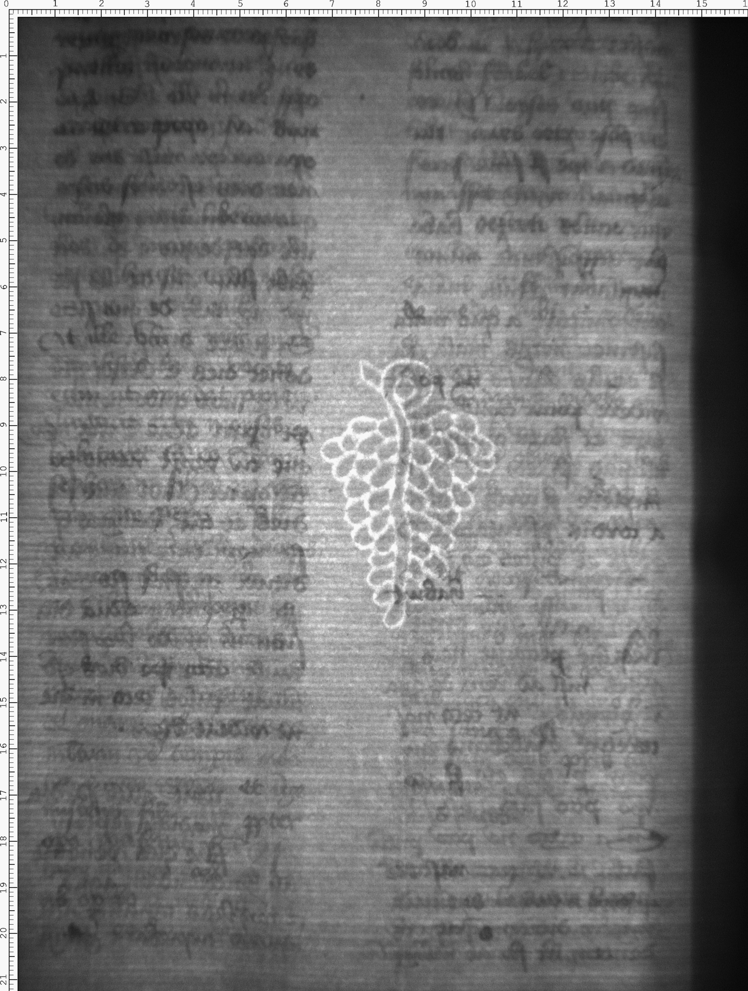 Watermark