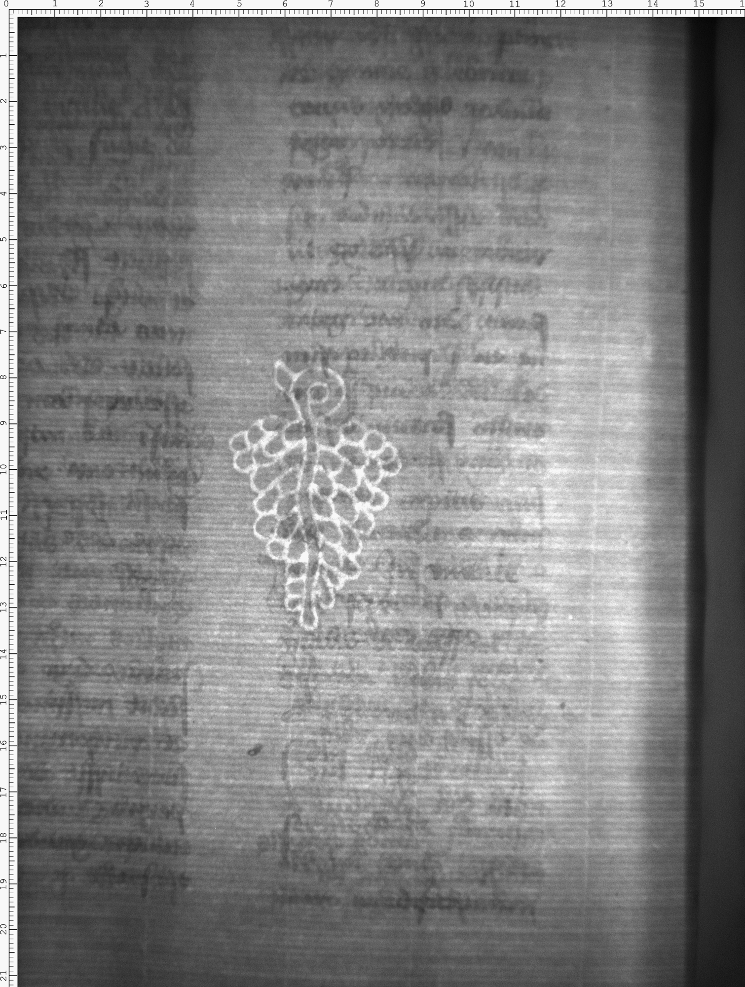 Watermark