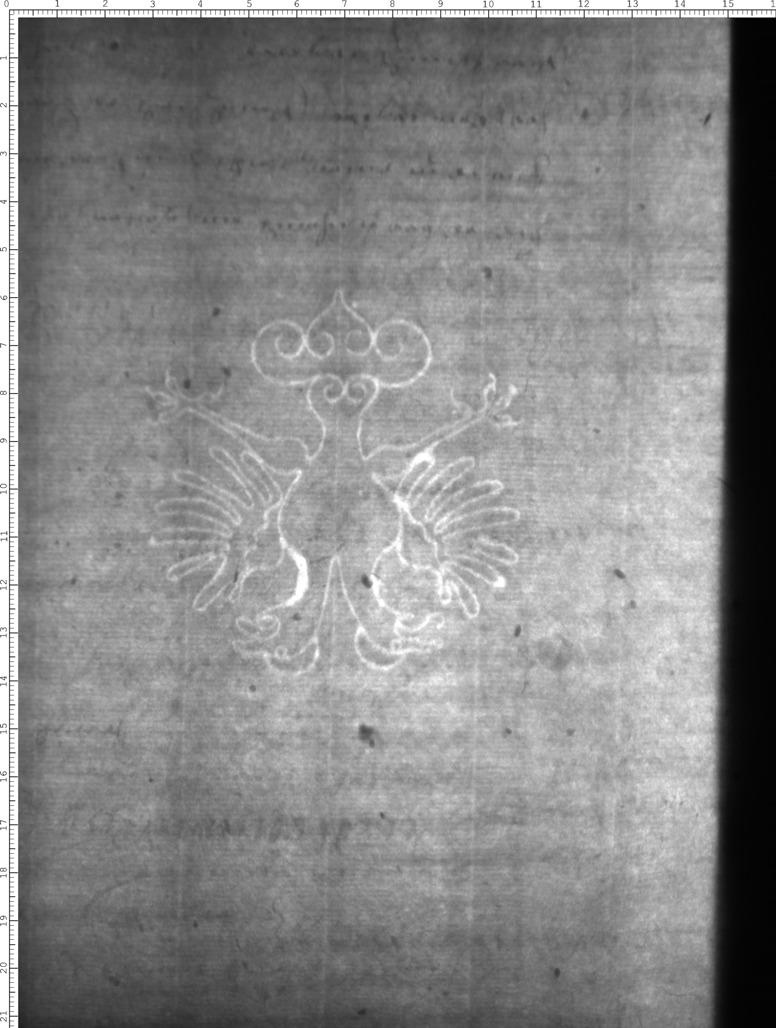 Watermark