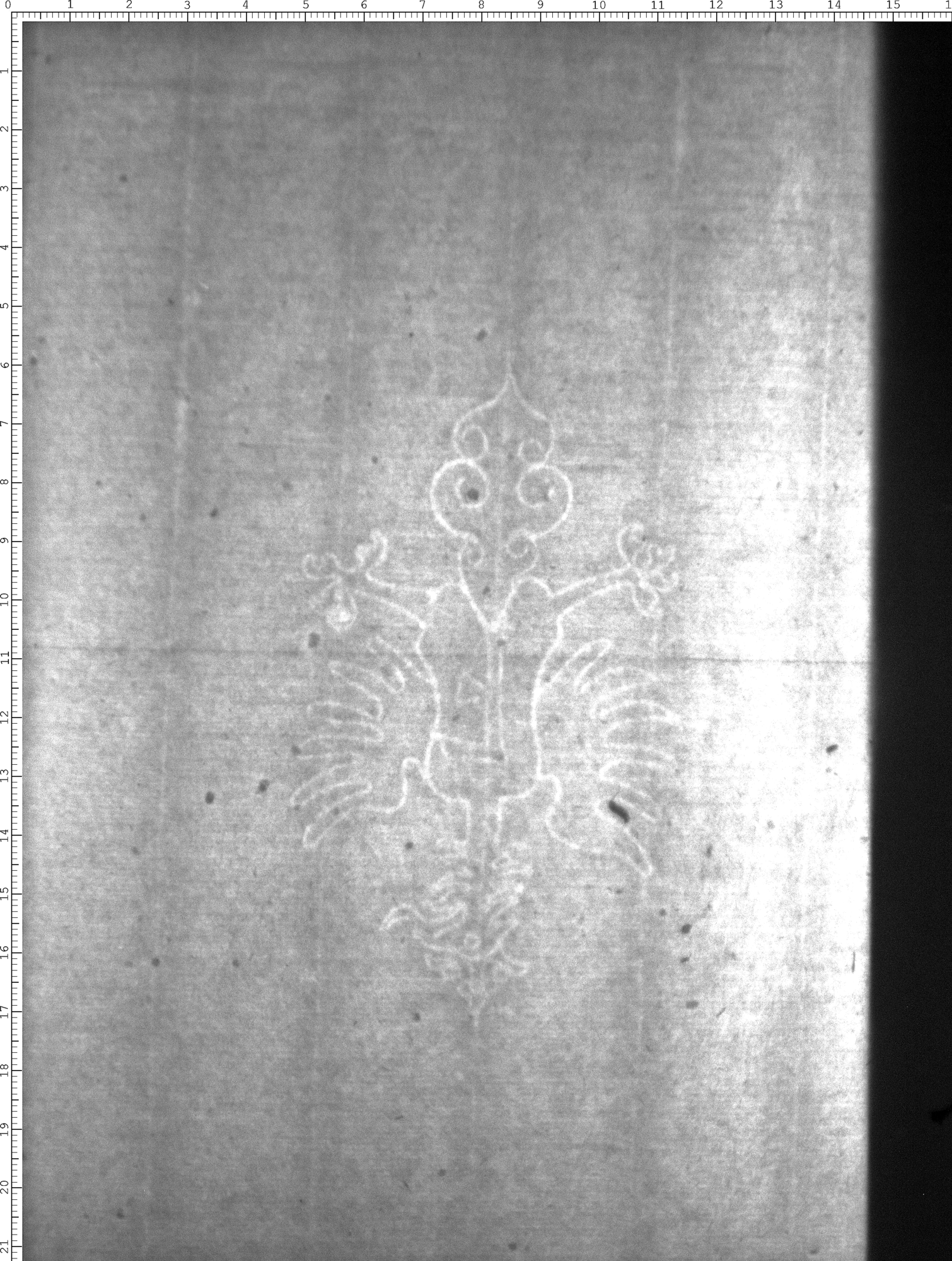 Watermark