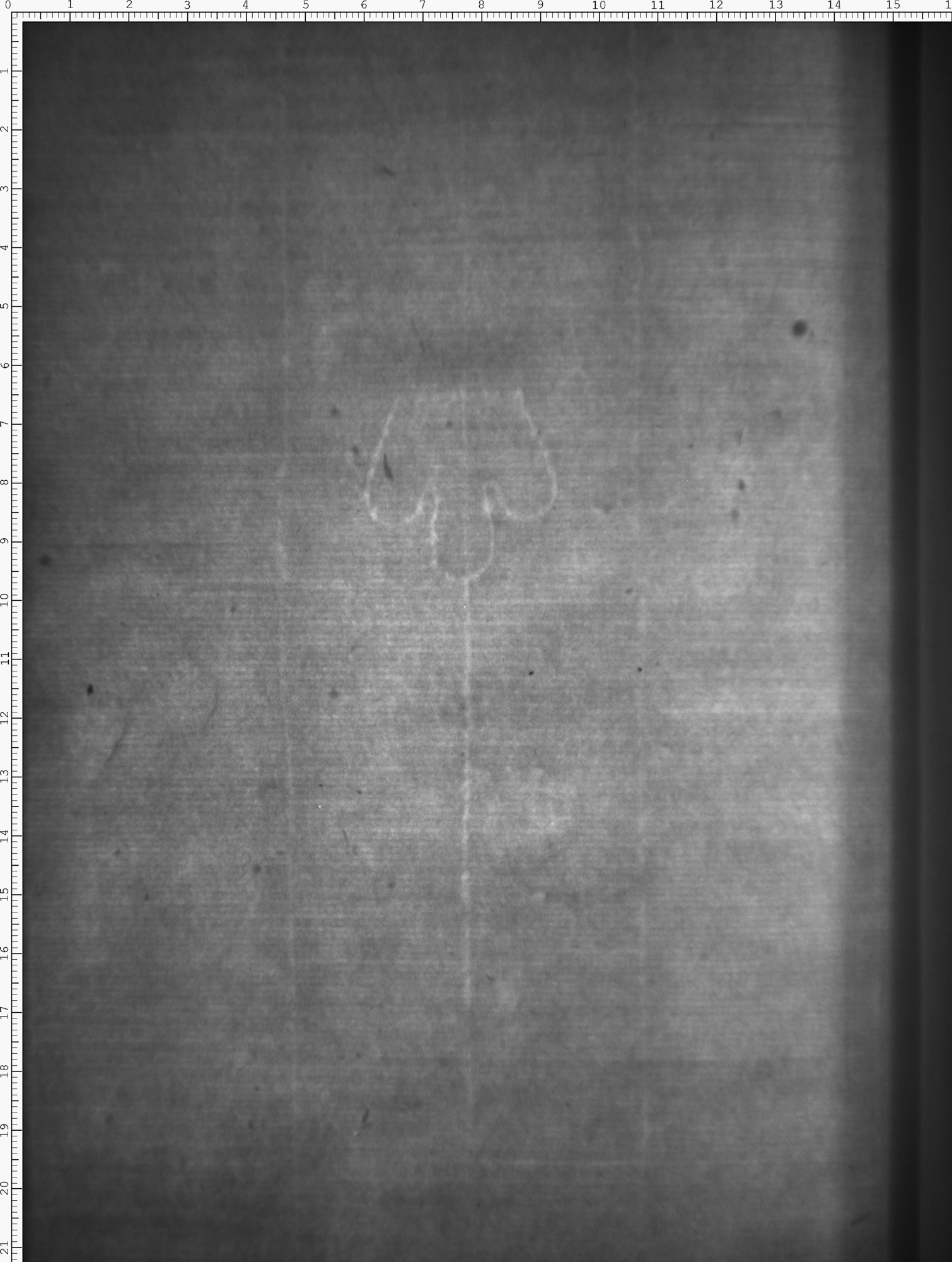 Watermark