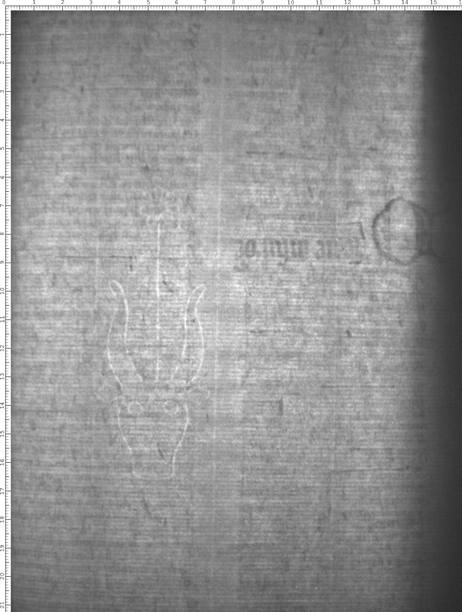 Watermark