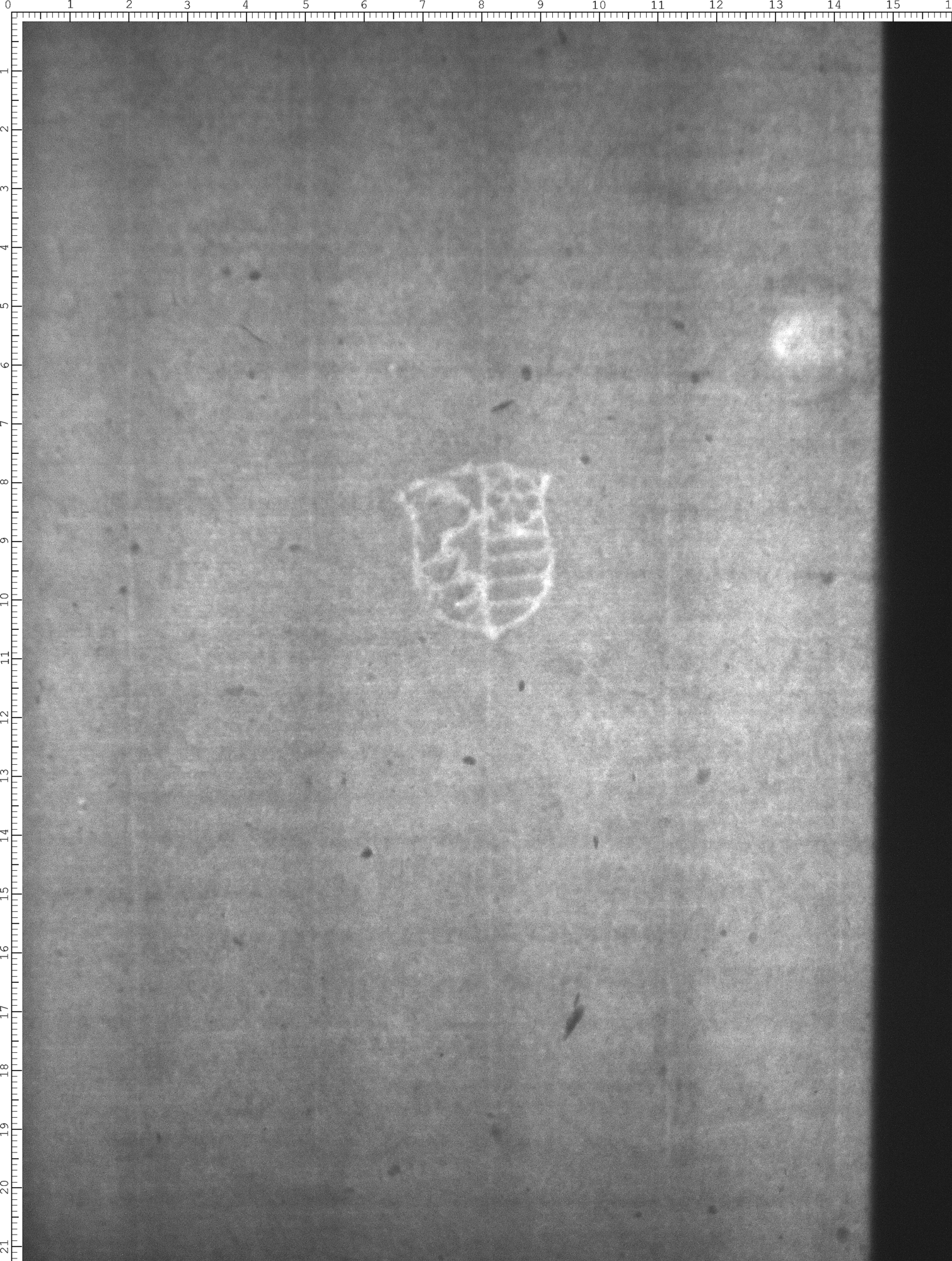 Watermark
