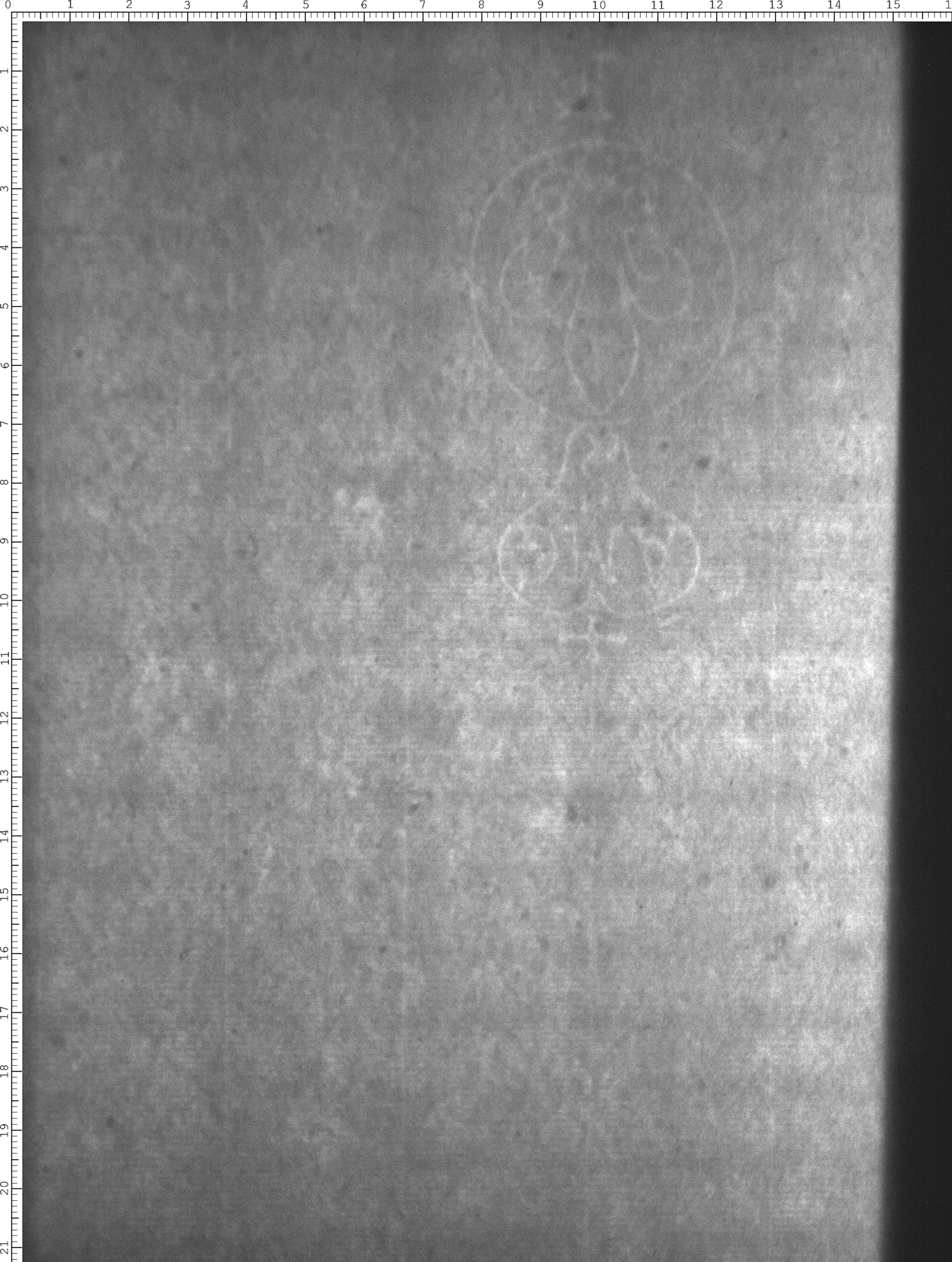 Watermark