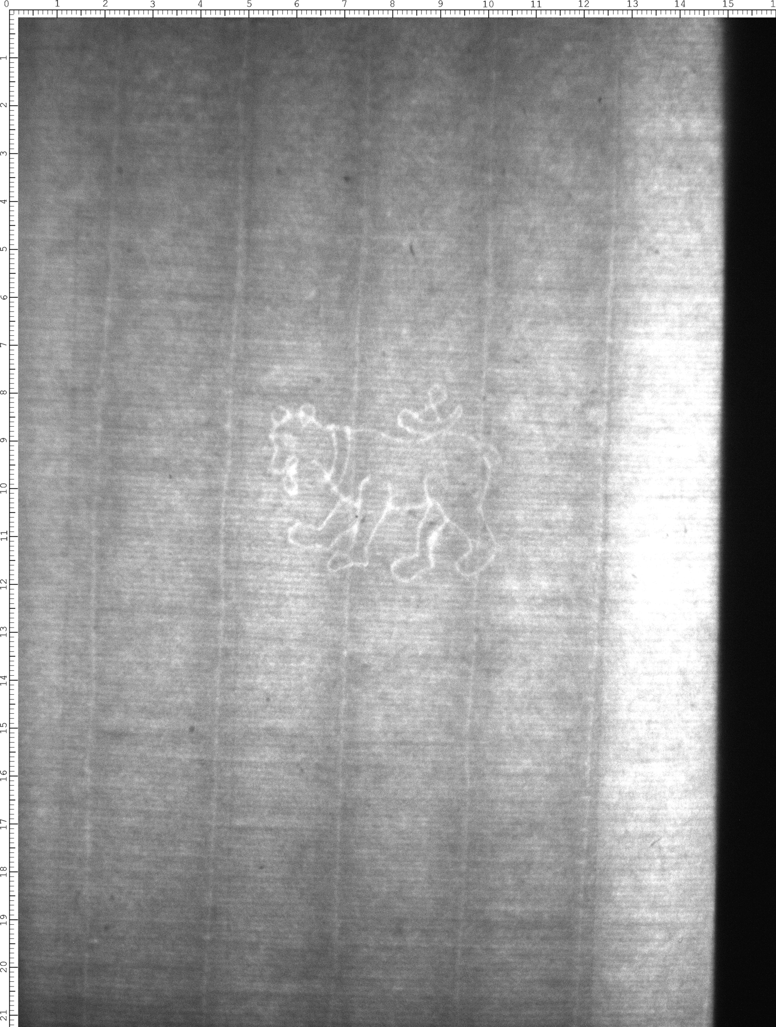 Watermark