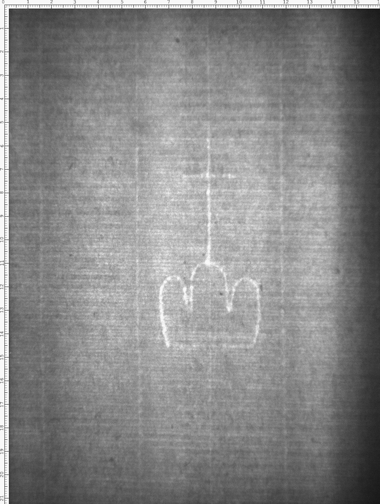 Watermark