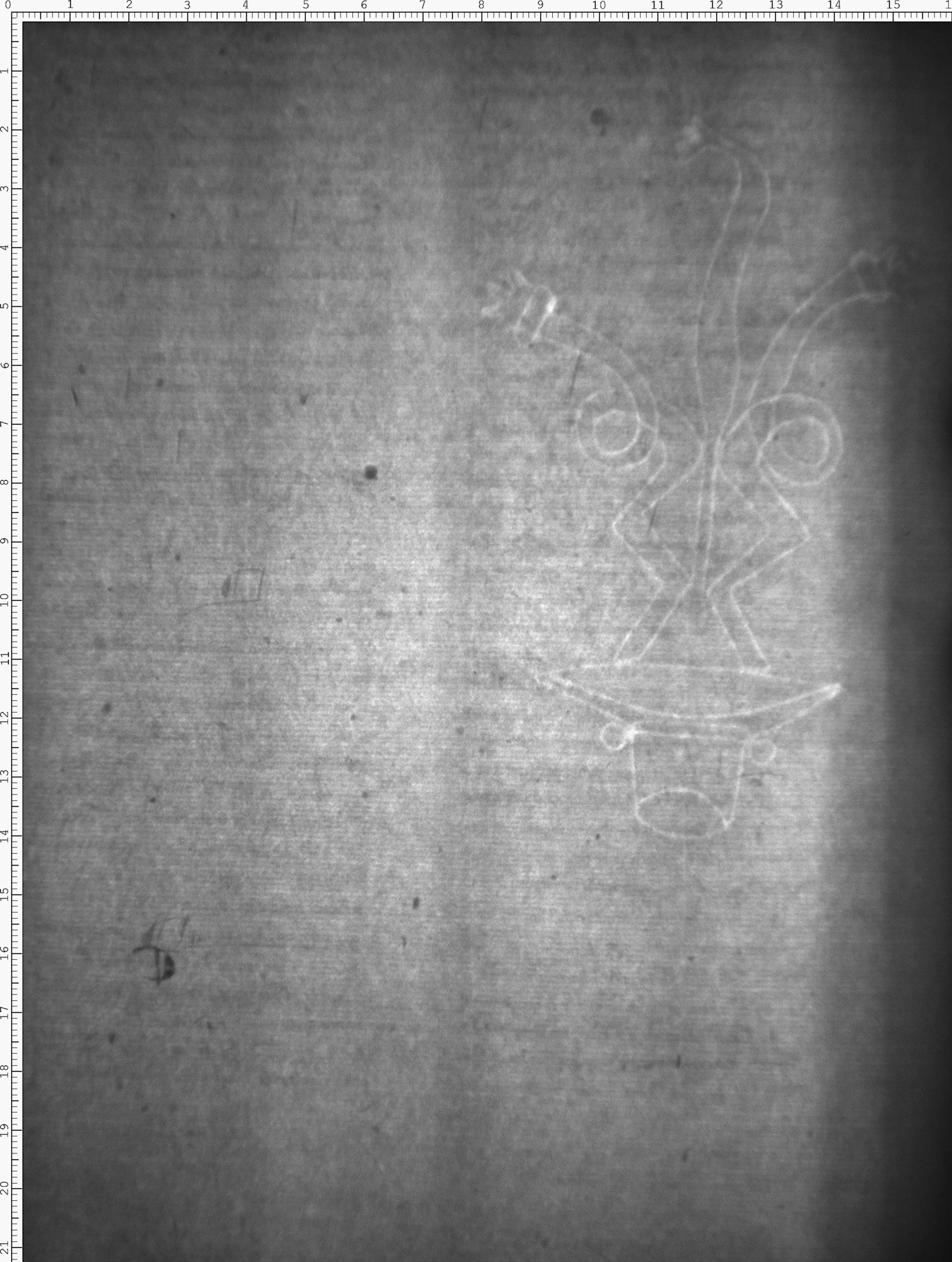 Watermark