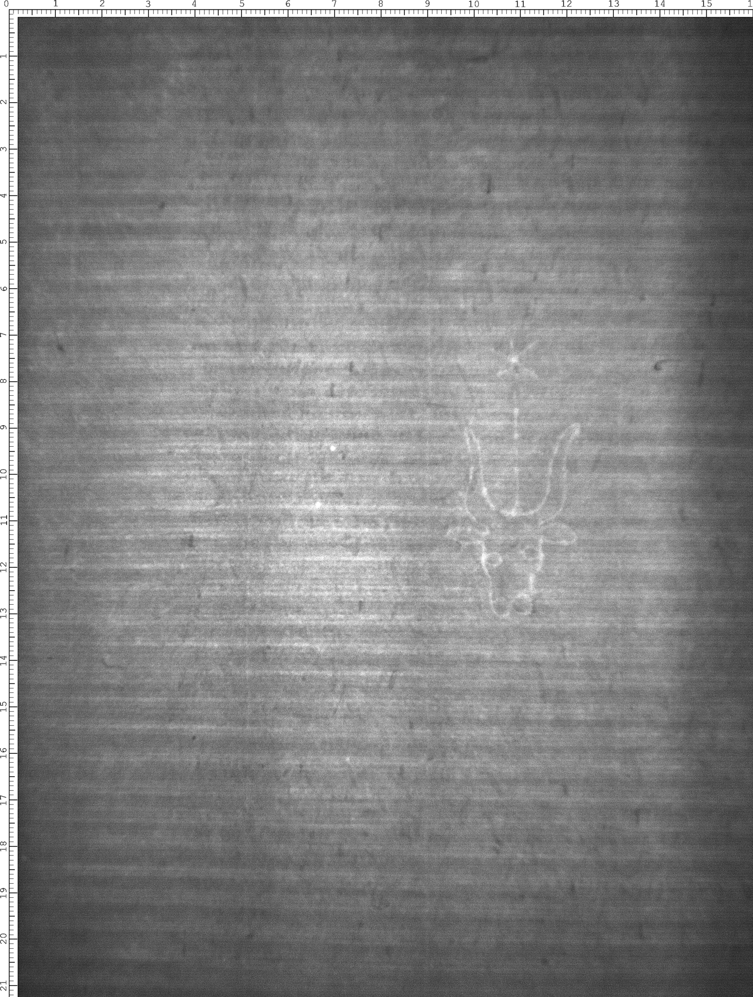 Watermark
