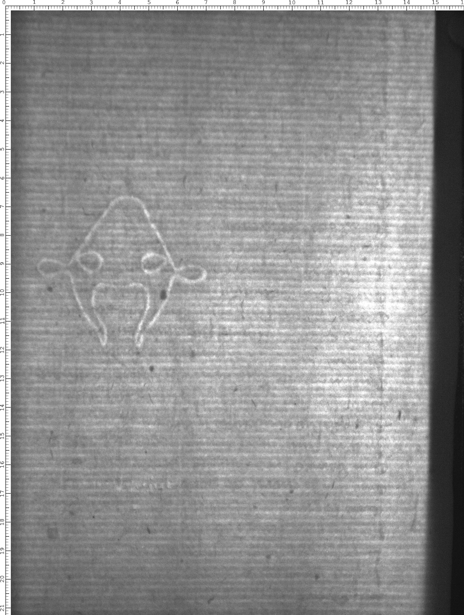 Watermark
