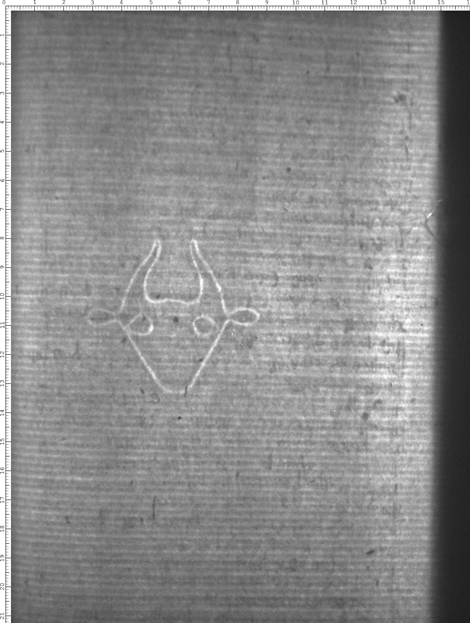 Watermark