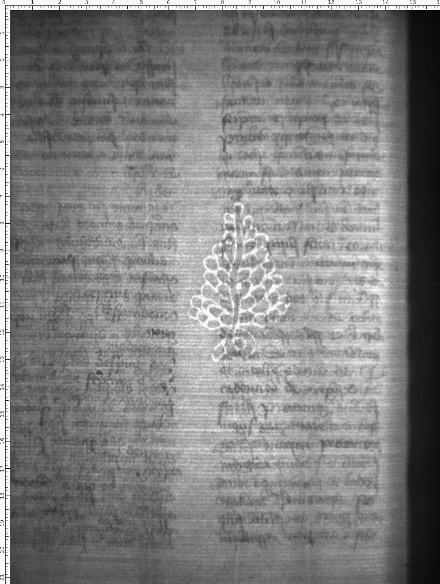 Watermark