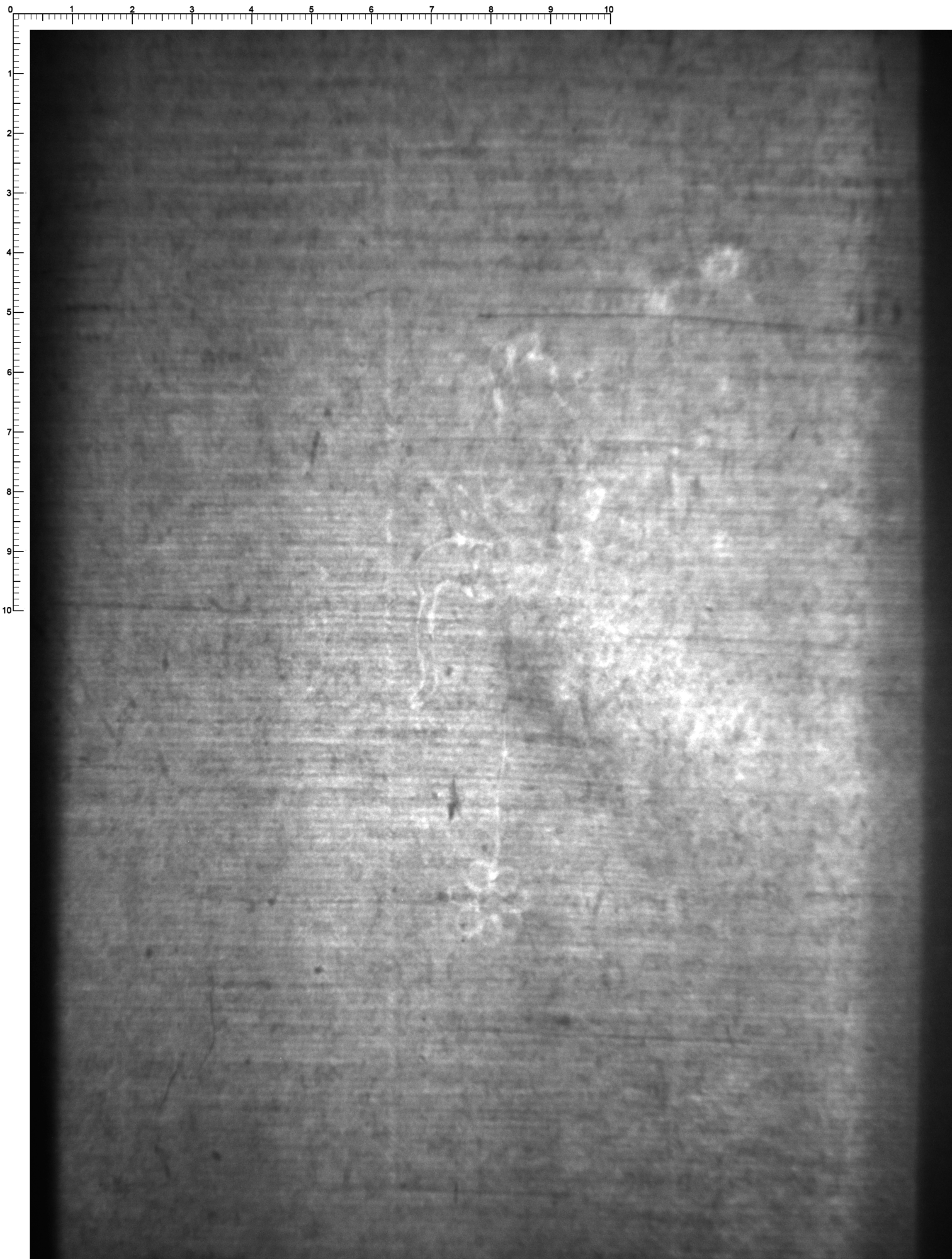 Watermark