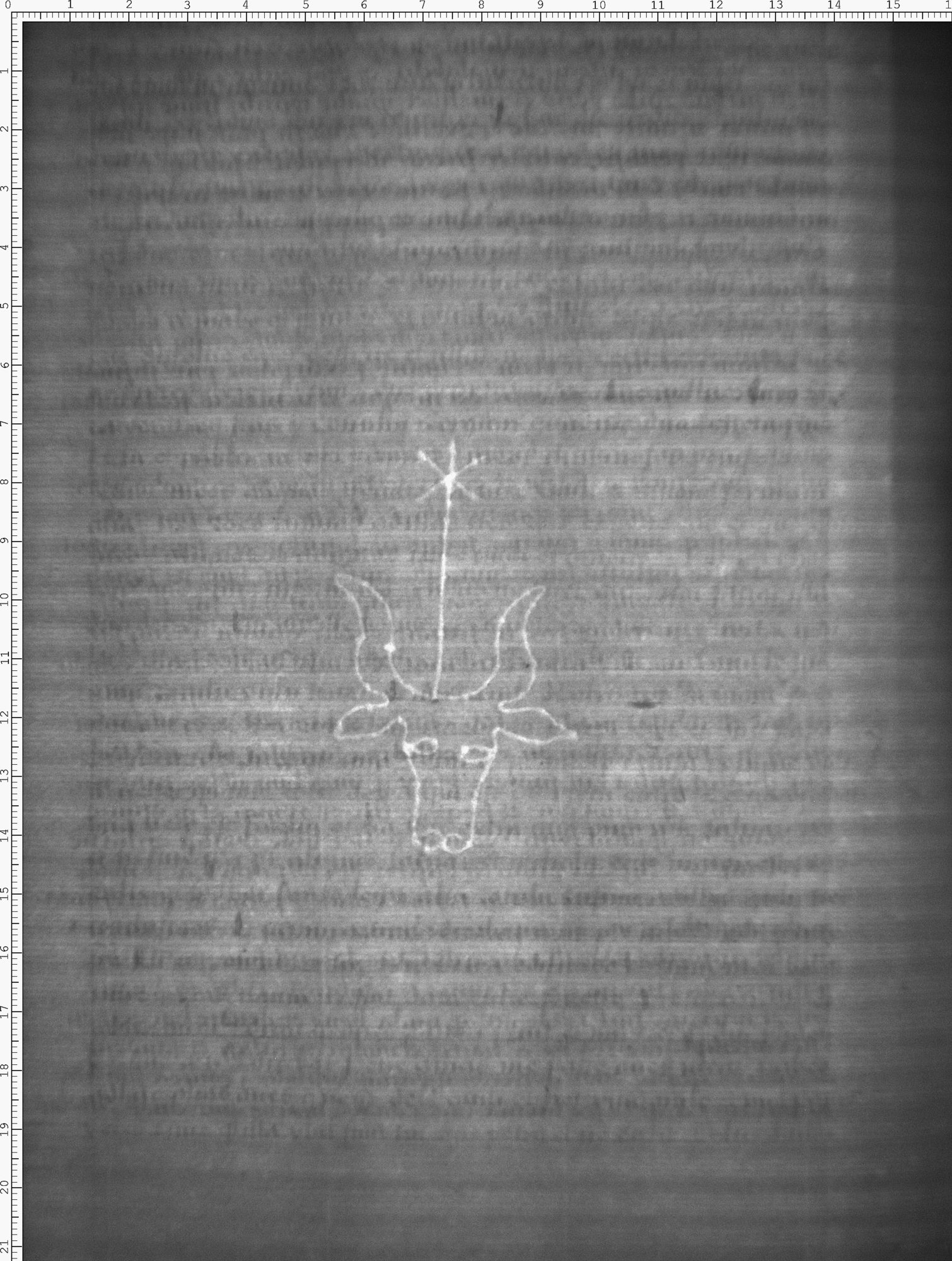 Watermark