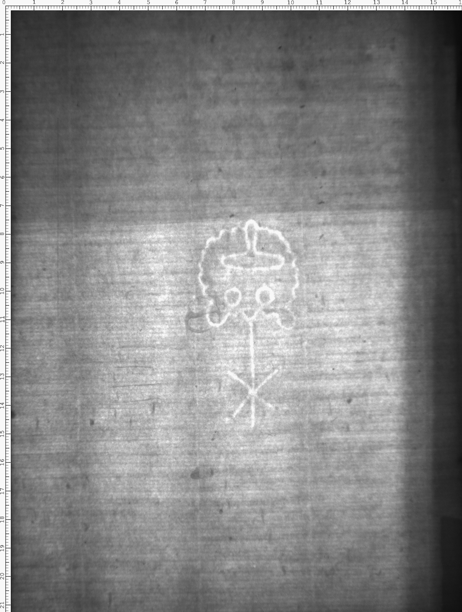 Watermark