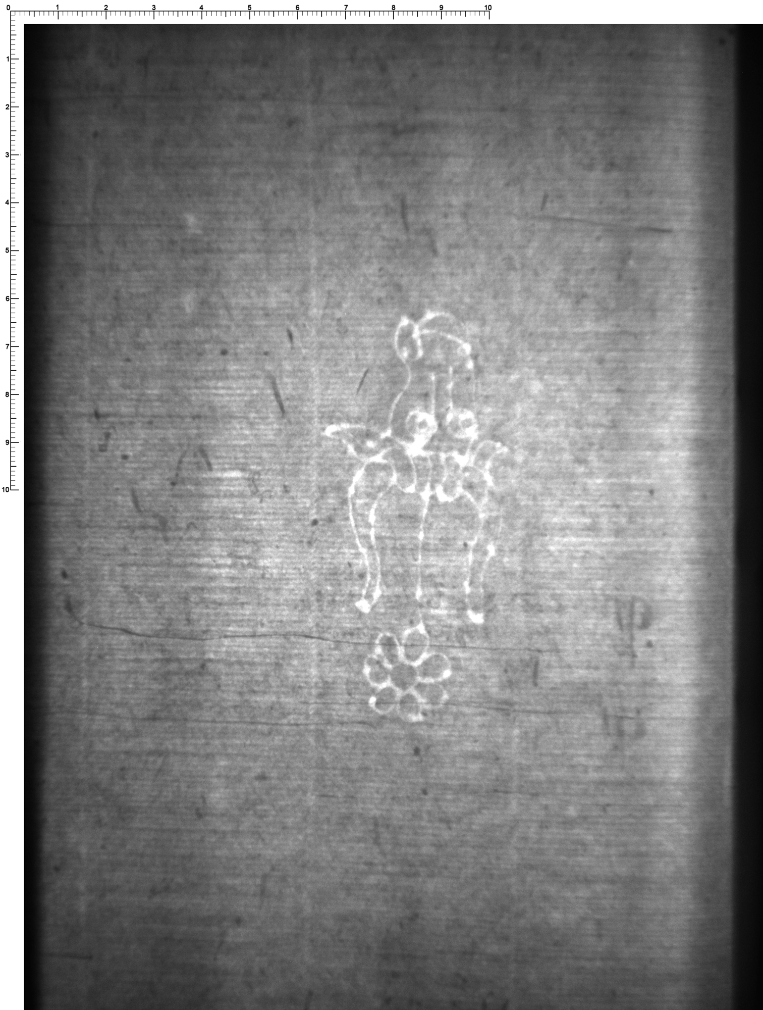 Watermark
