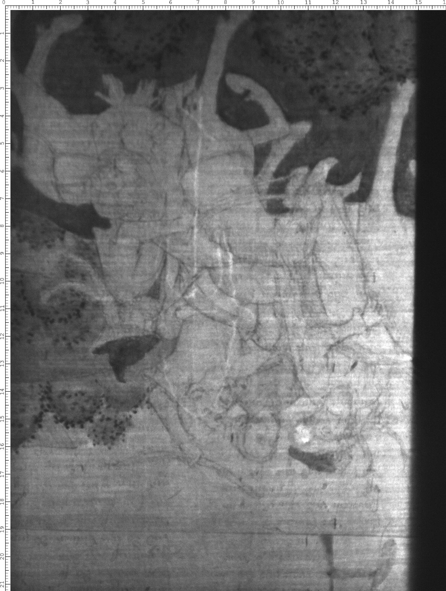 Watermark