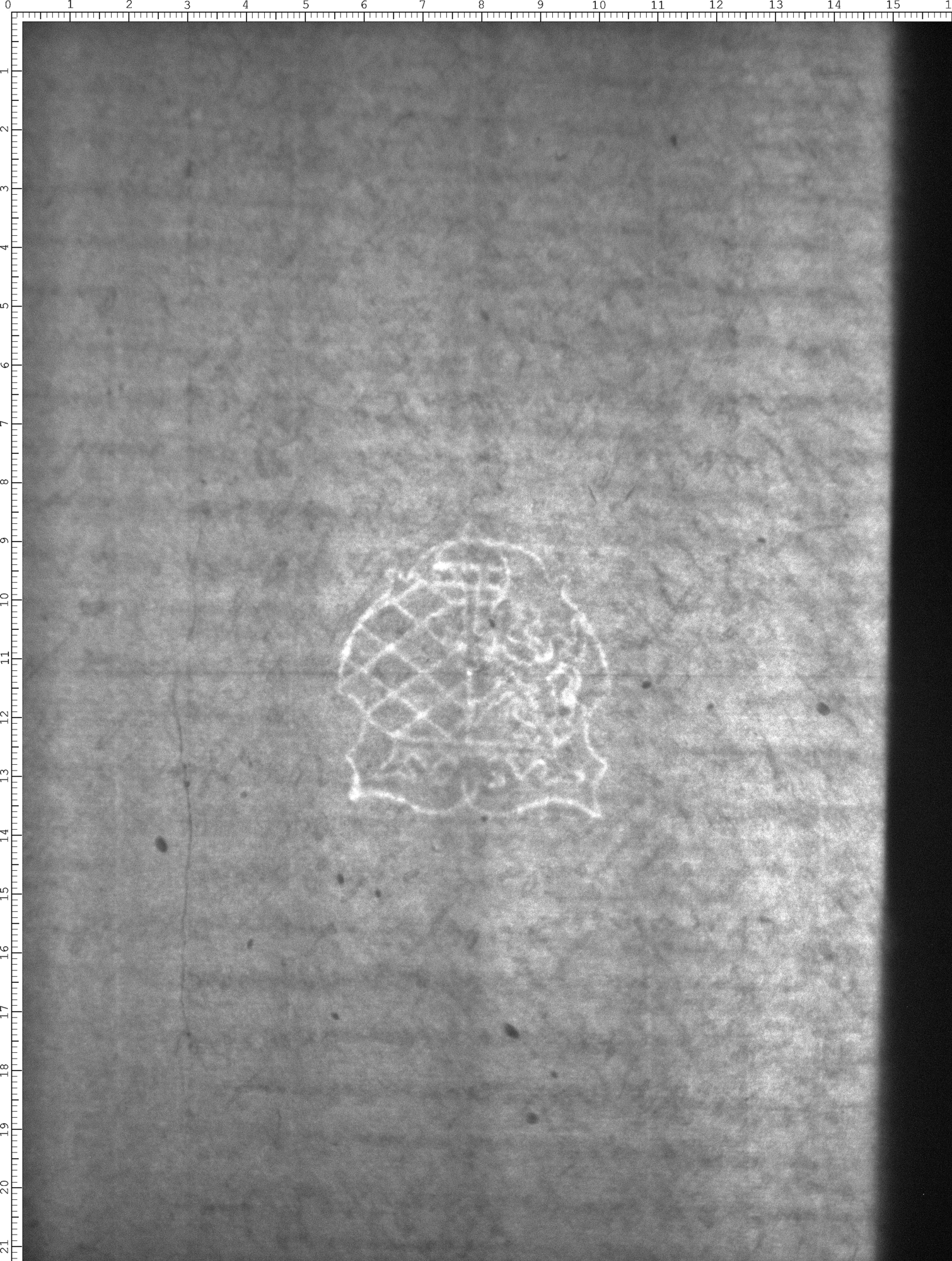 Watermark