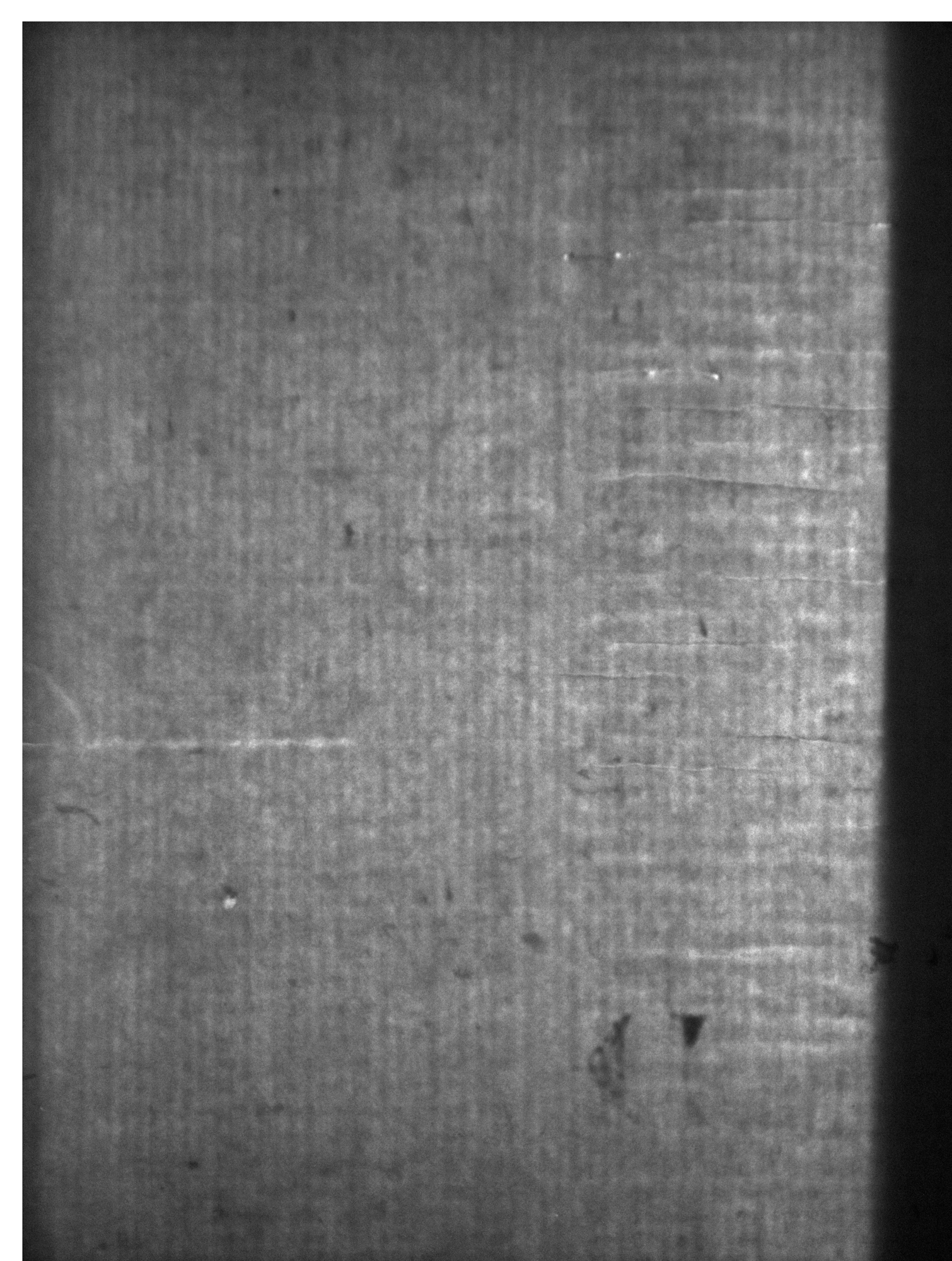 Watermark