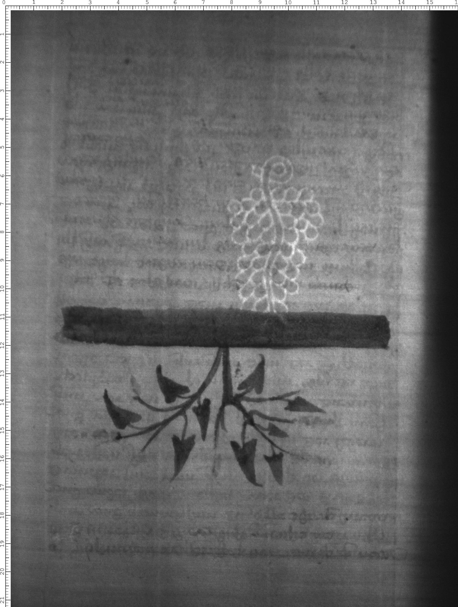 Watermark