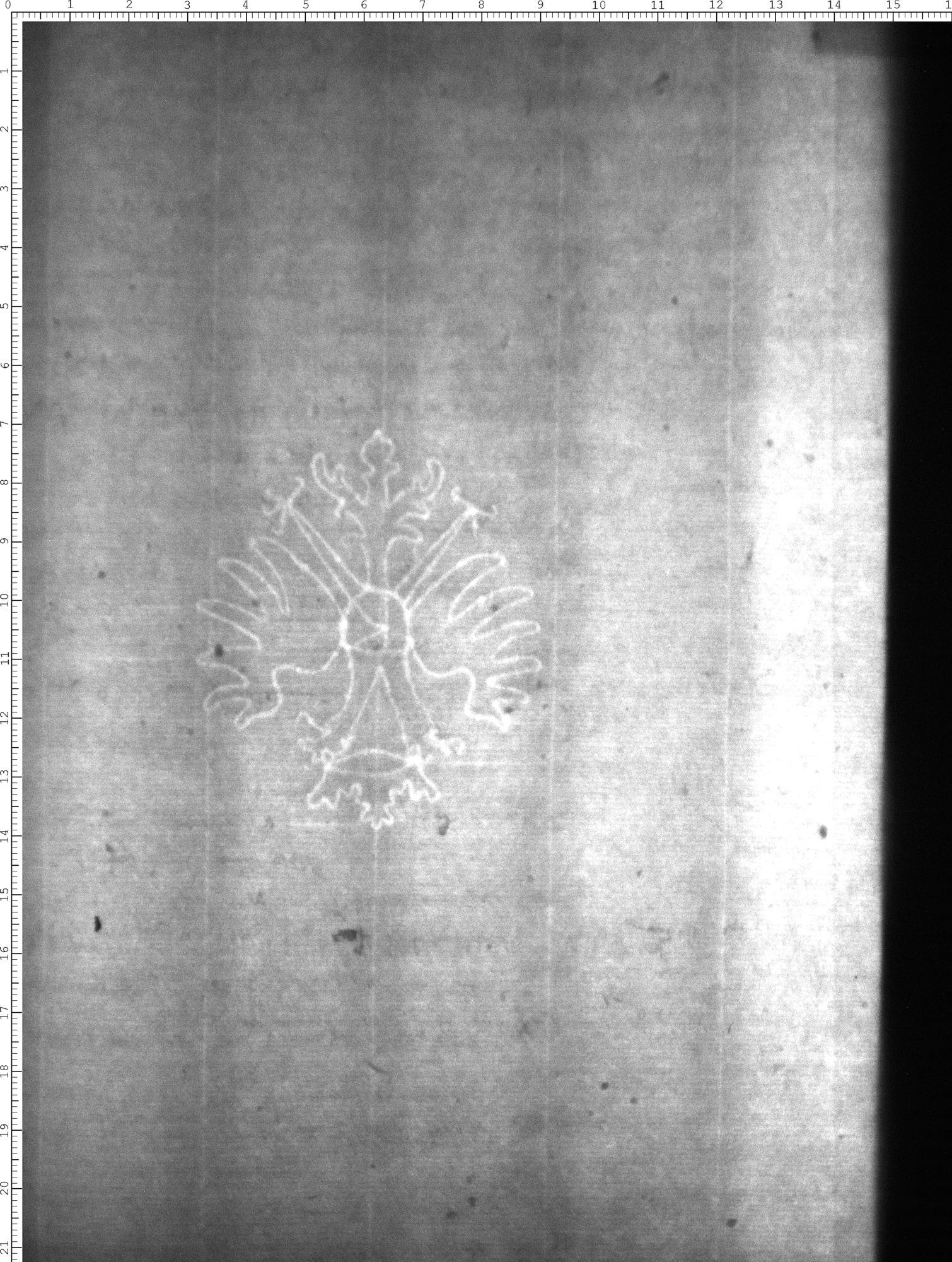 Watermark