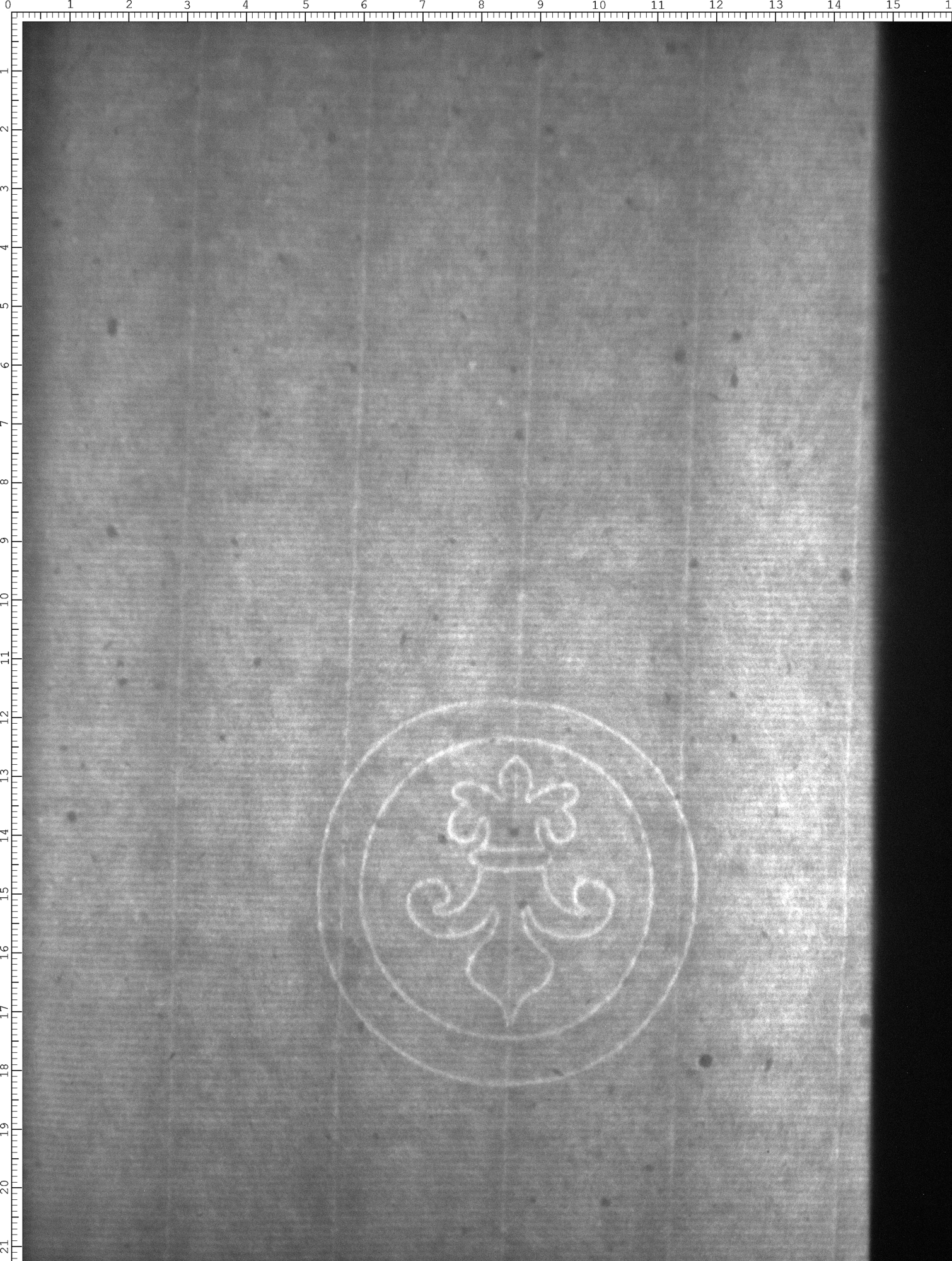 Watermark