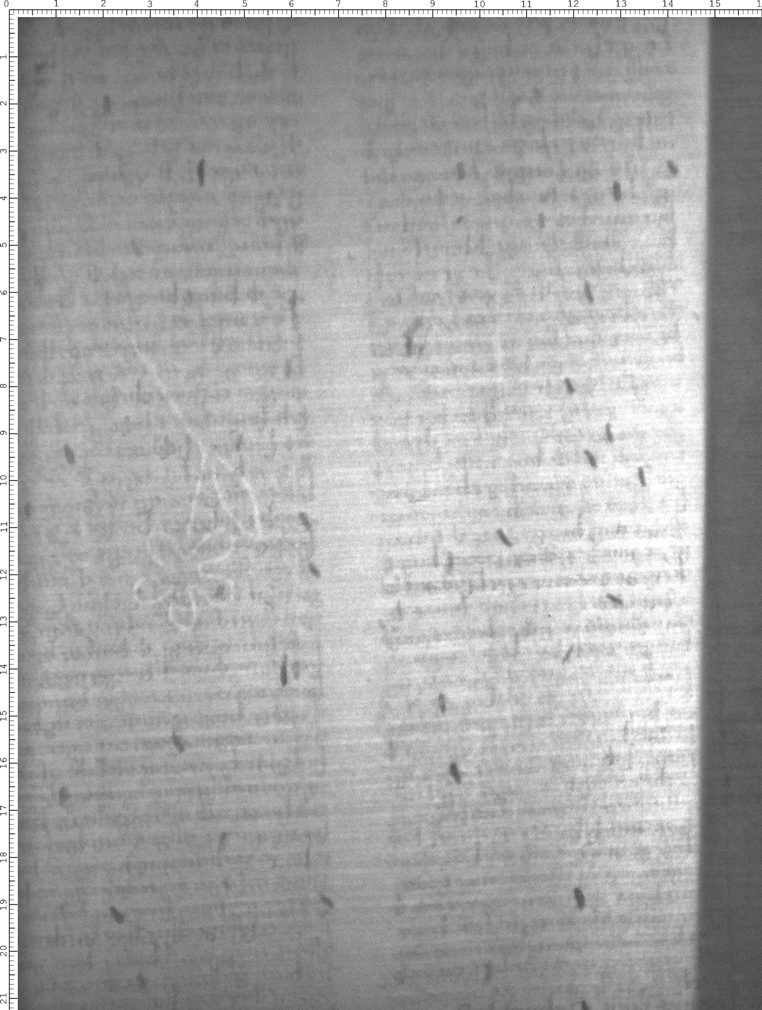 Watermark