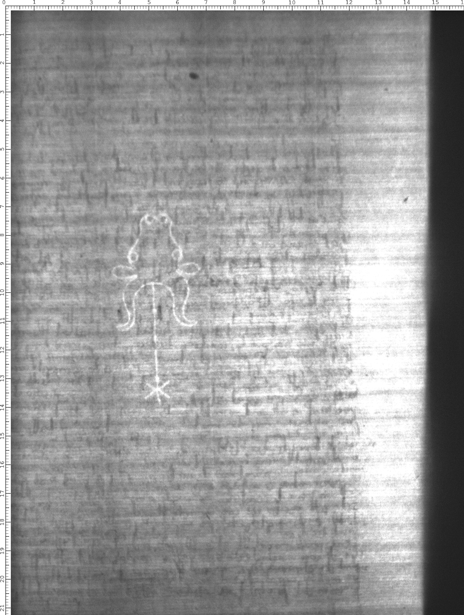 Watermark