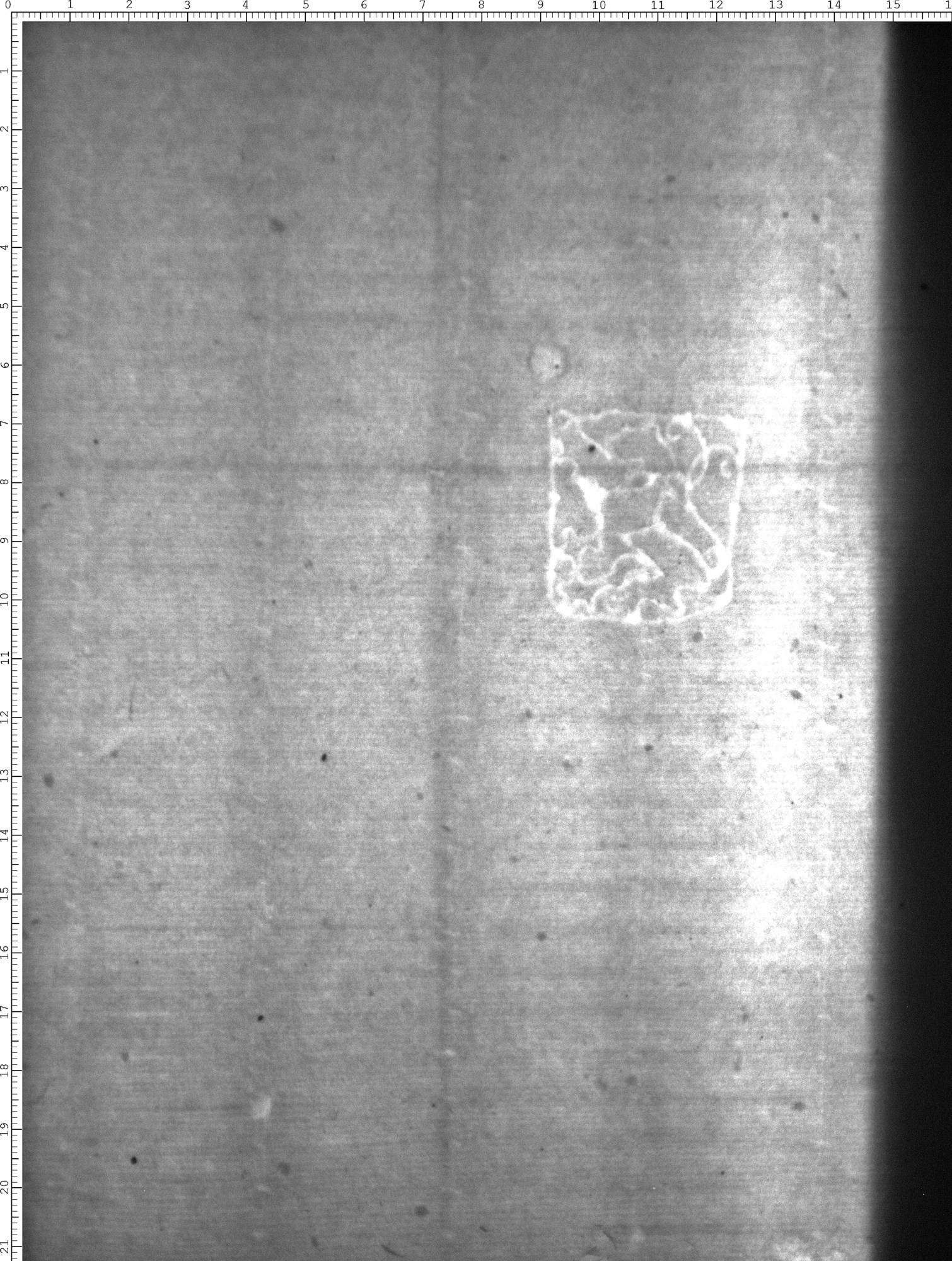 Watermark