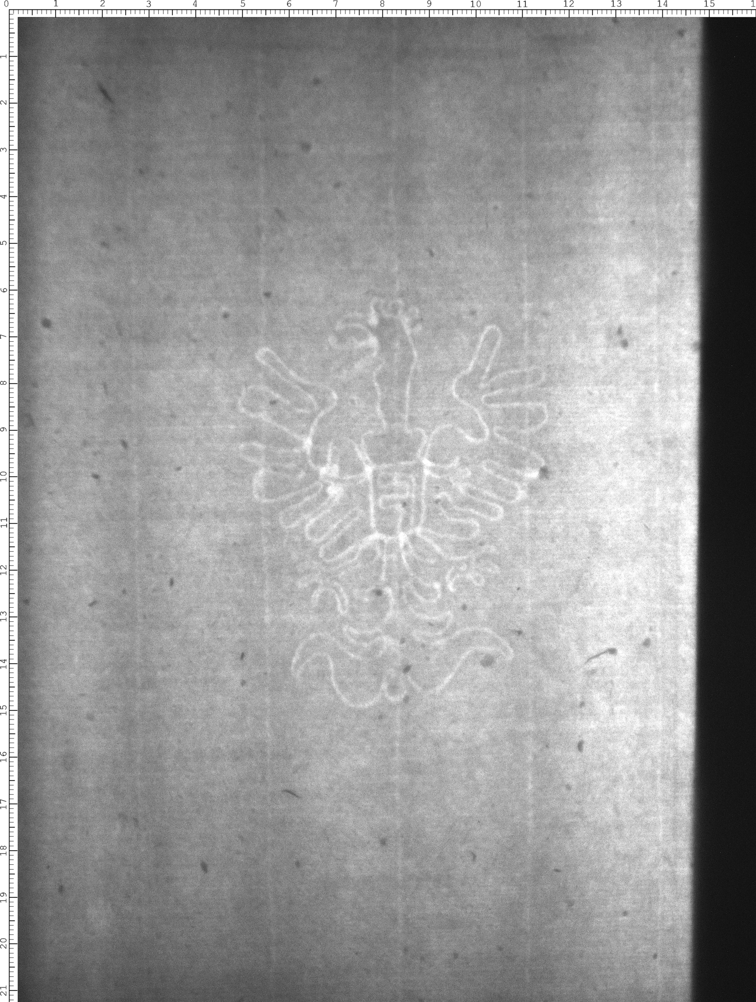 Watermark