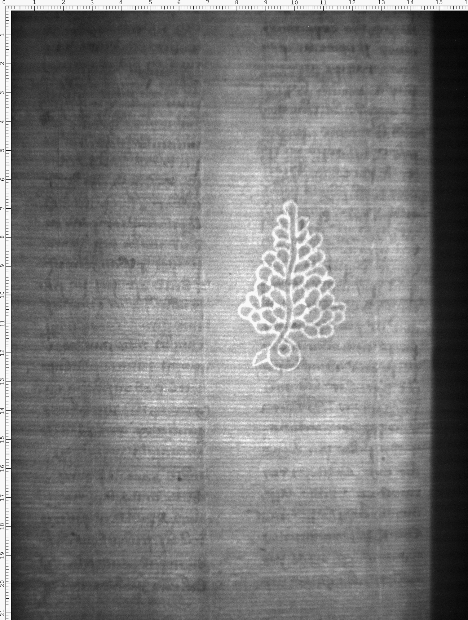 Watermark