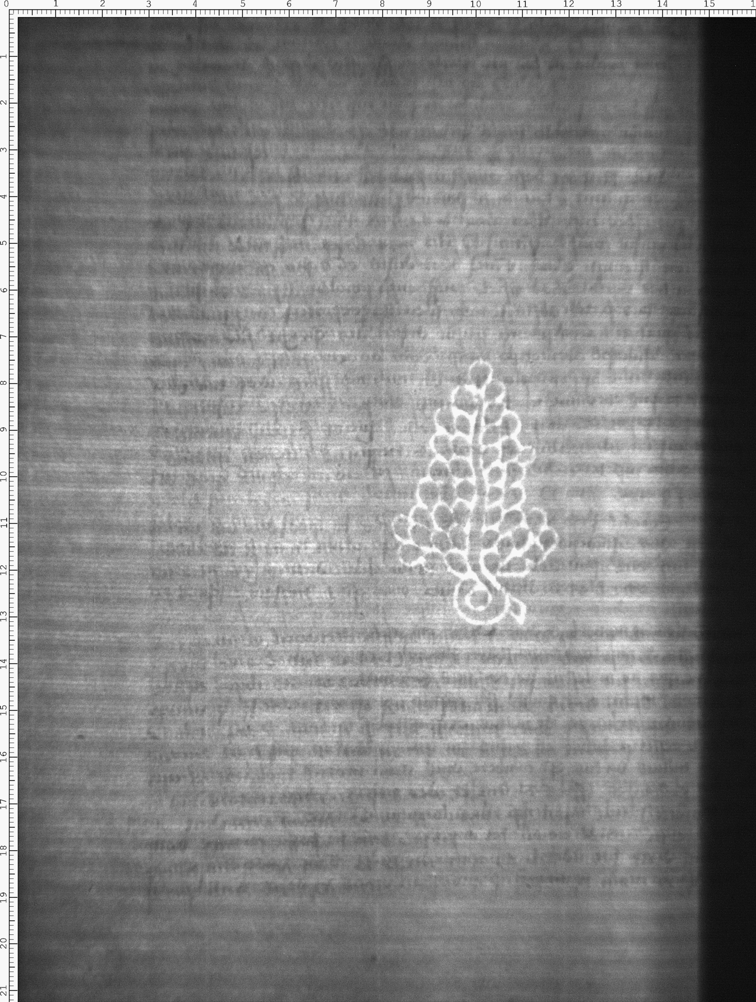 Watermark