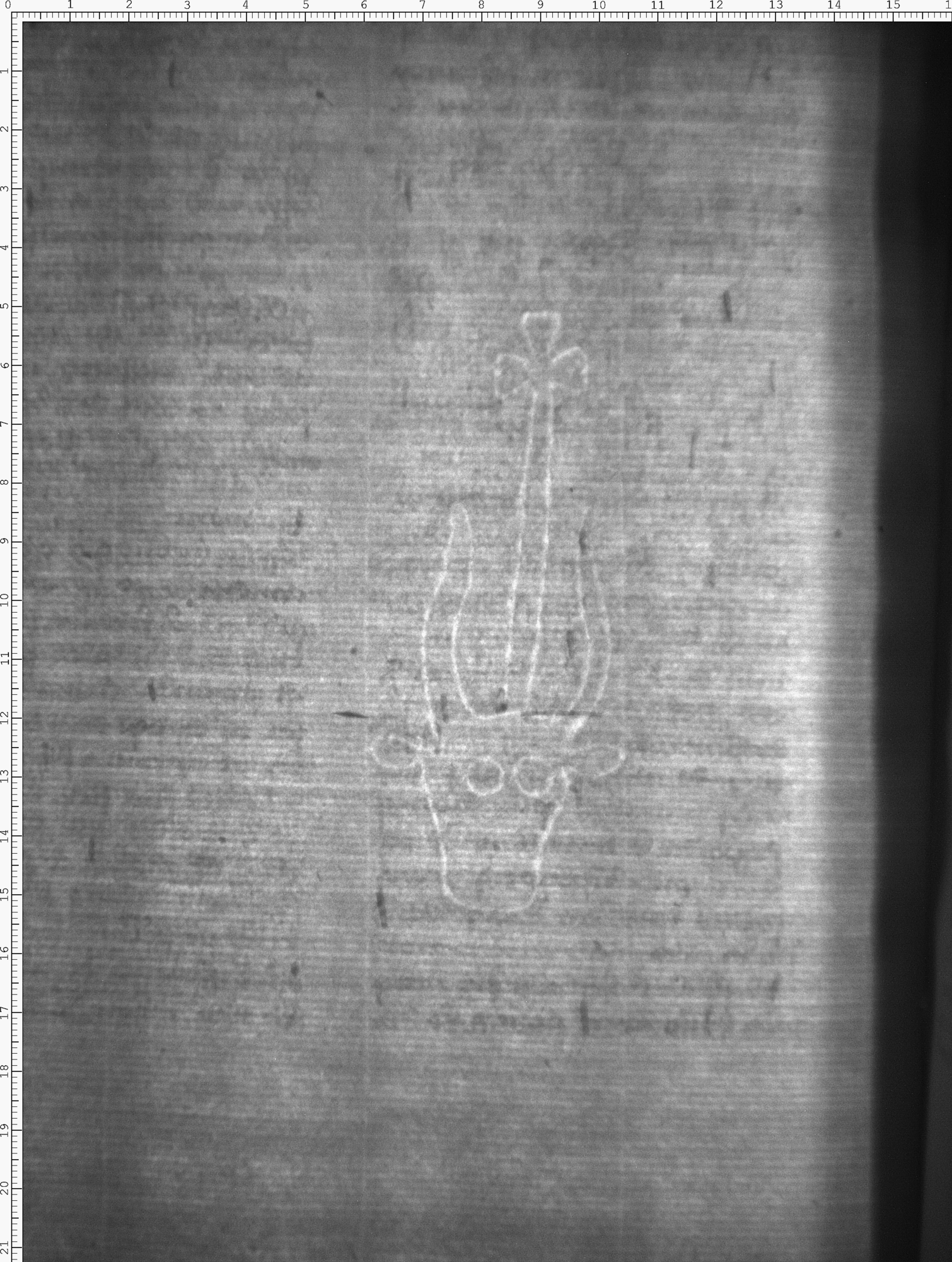 Watermark