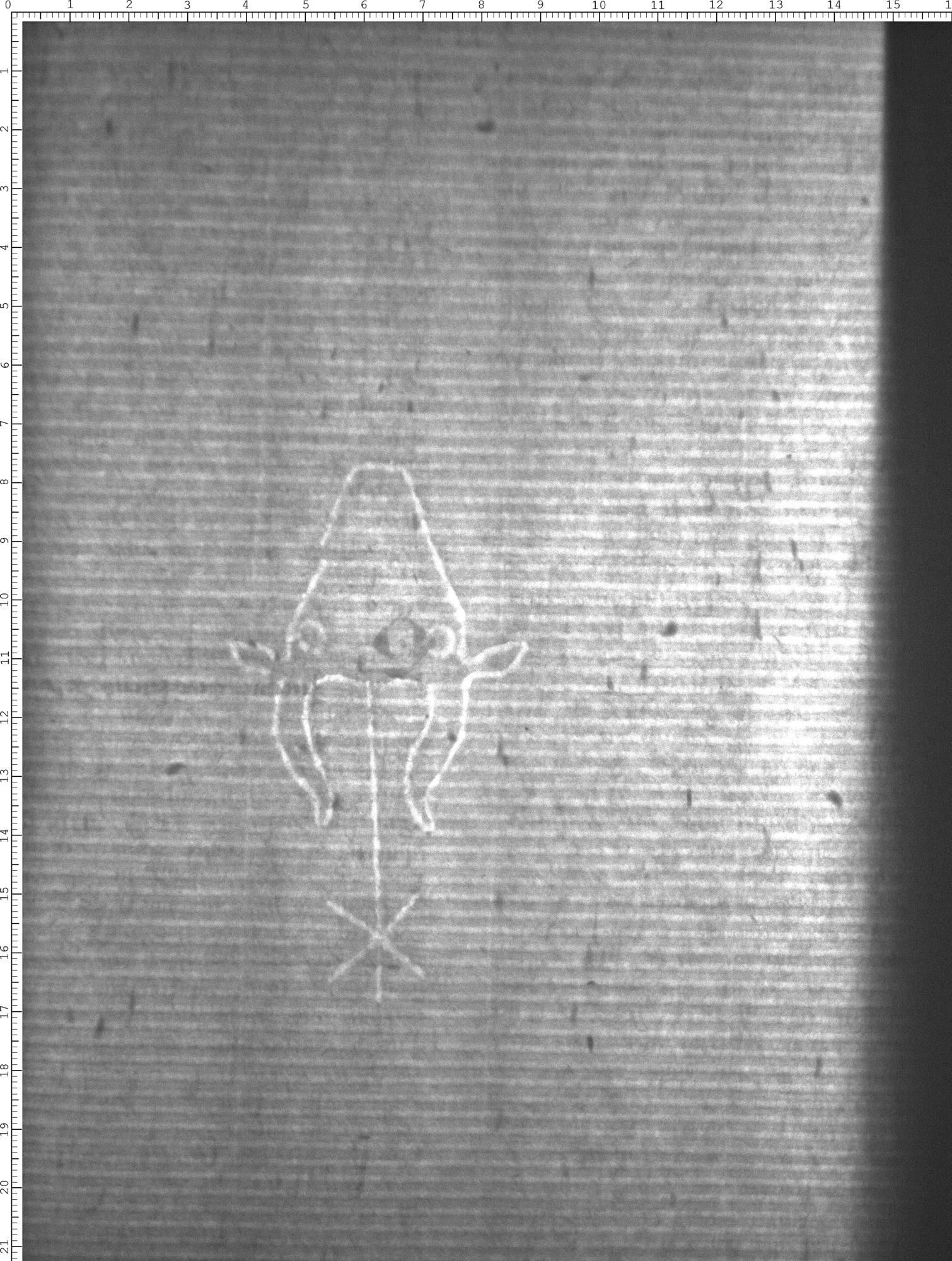 Watermark