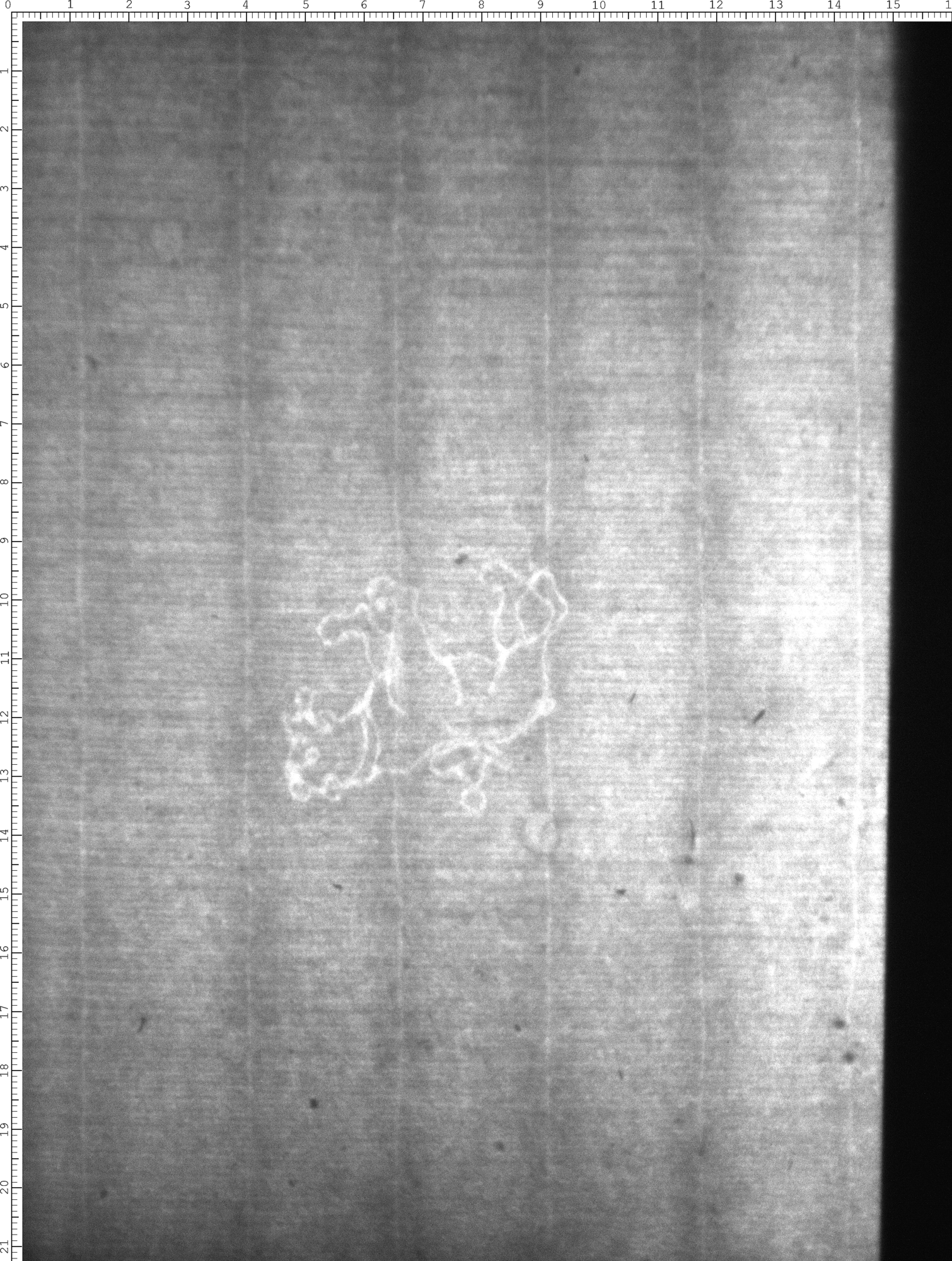 Watermark