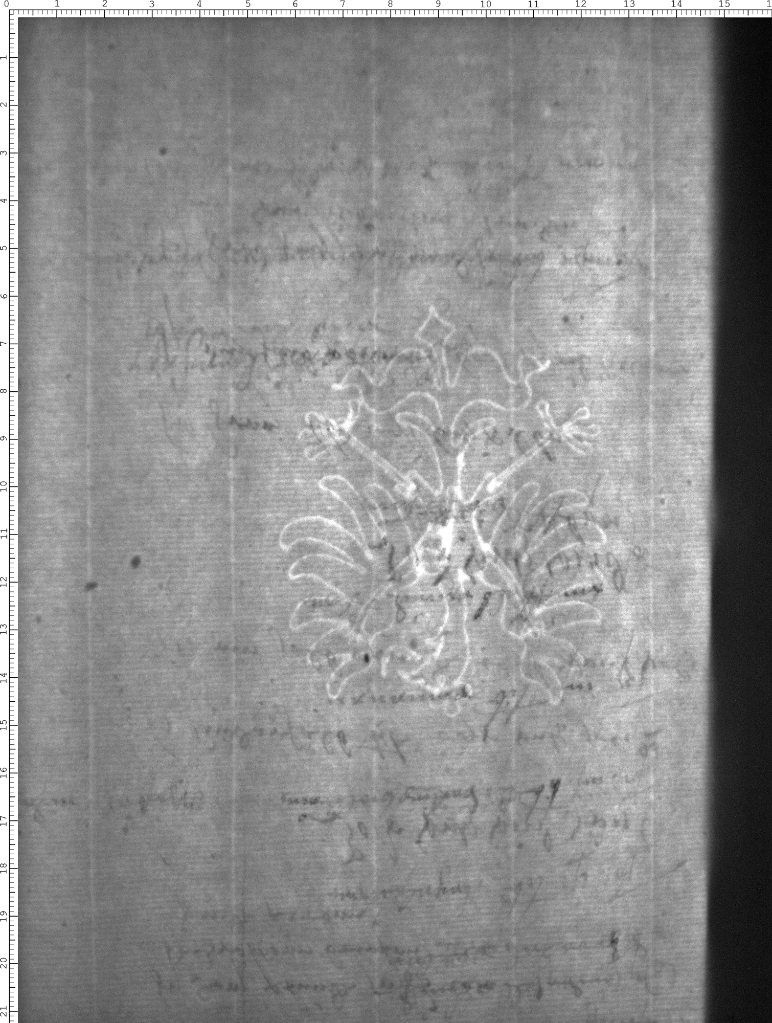Watermark
