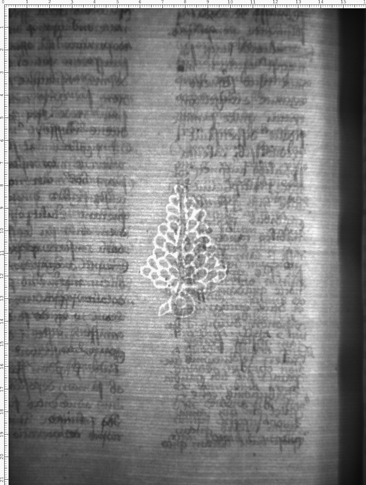 Watermark