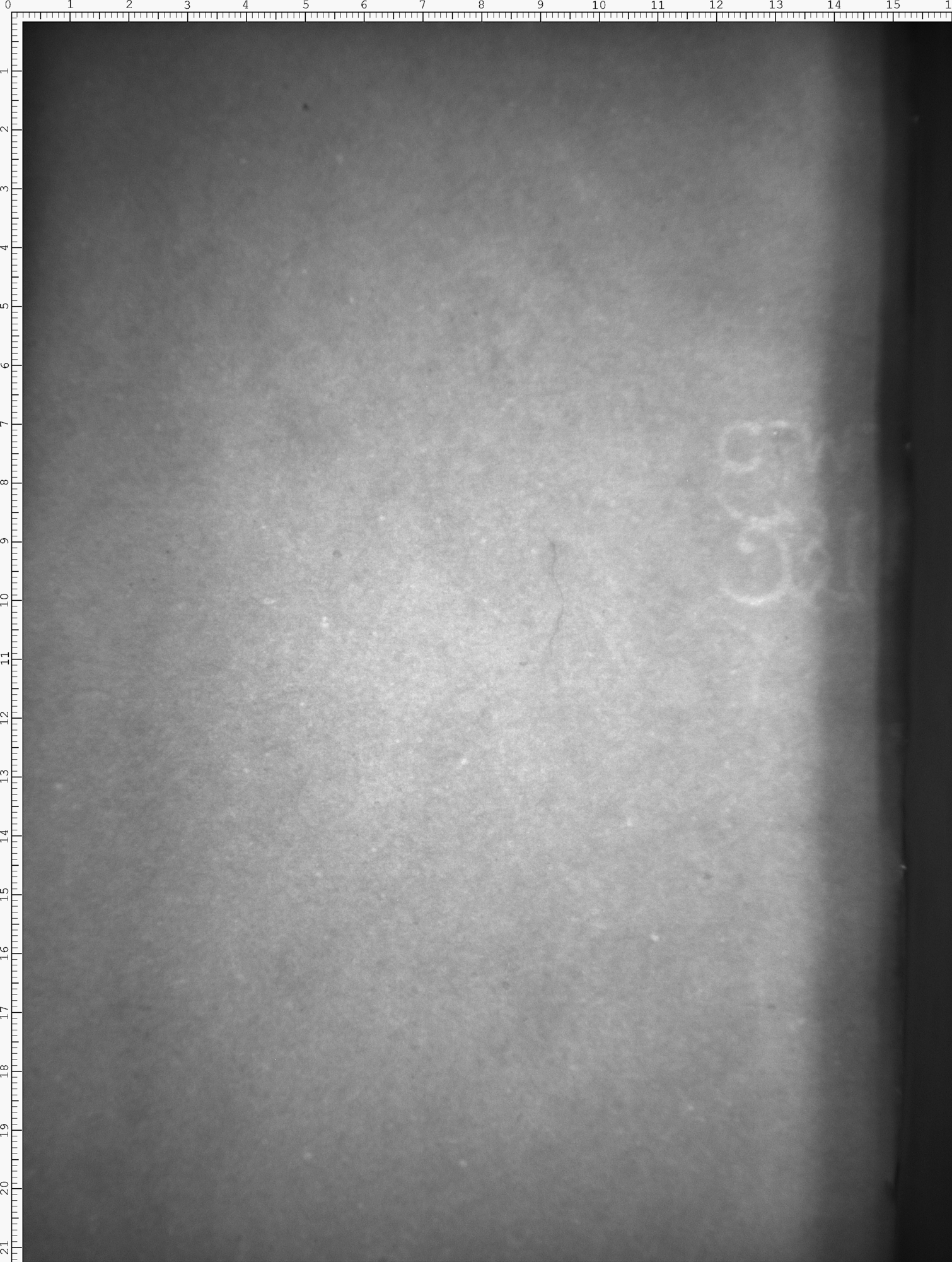 Watermark