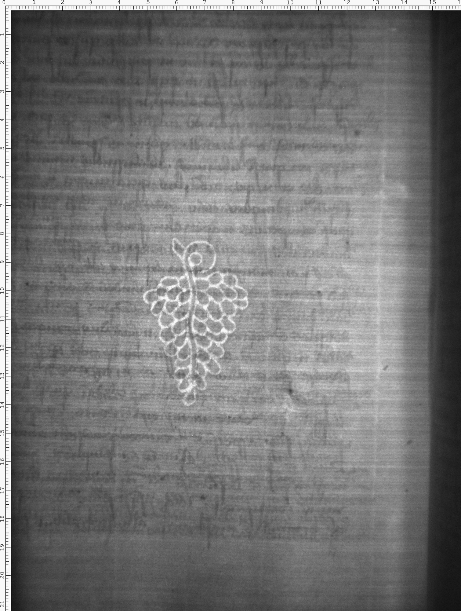 Watermark