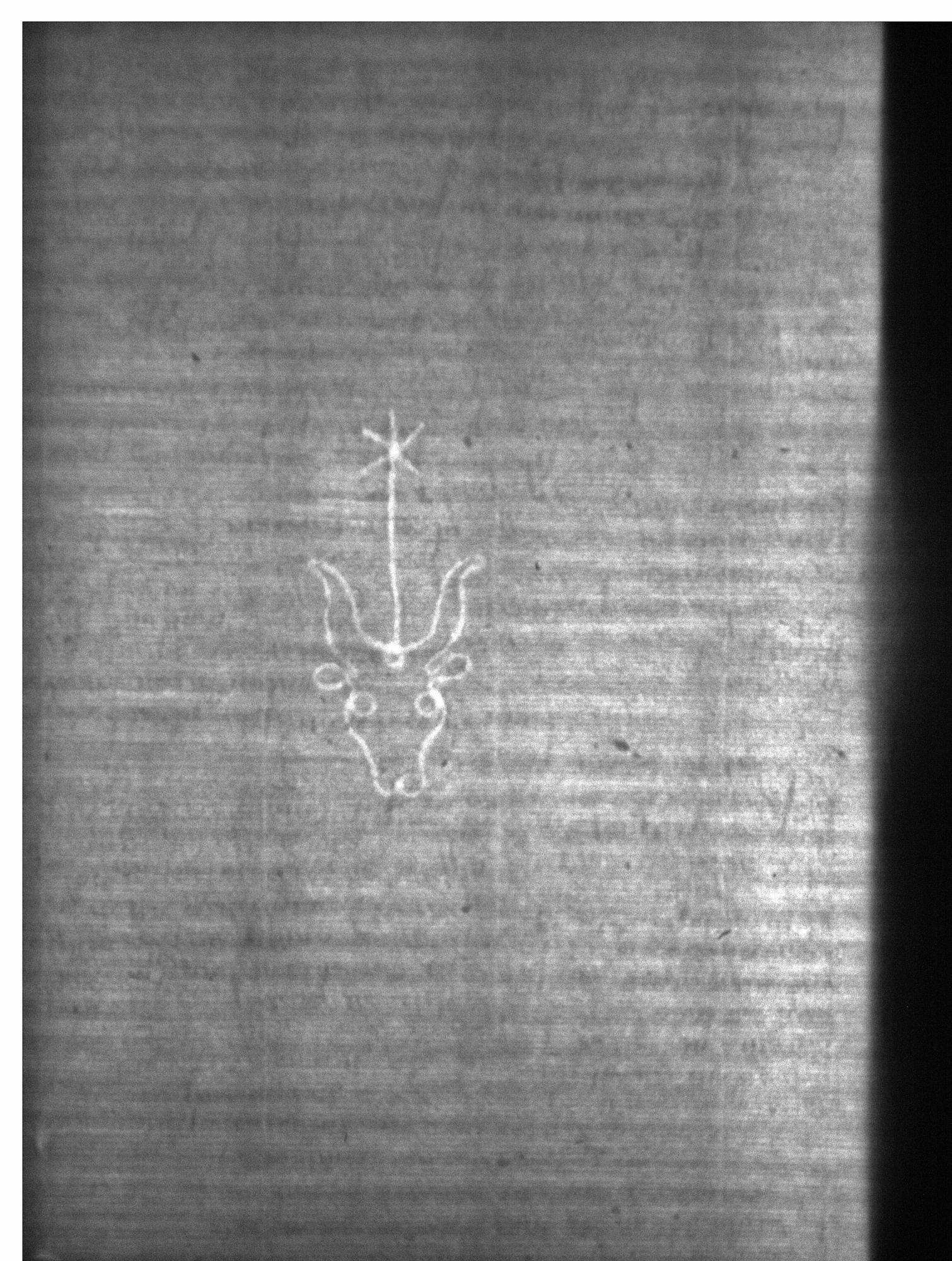 Watermark