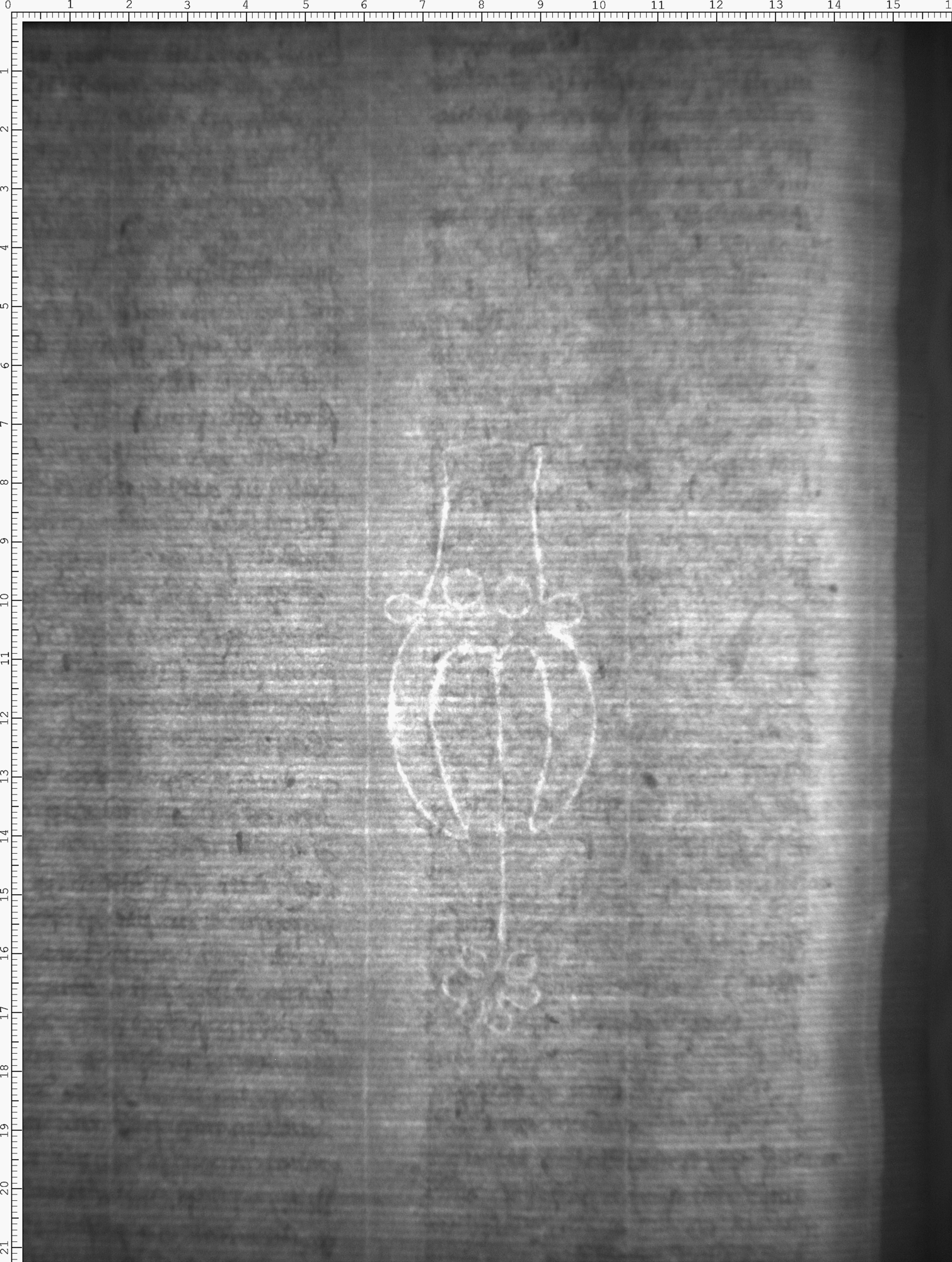 Watermark