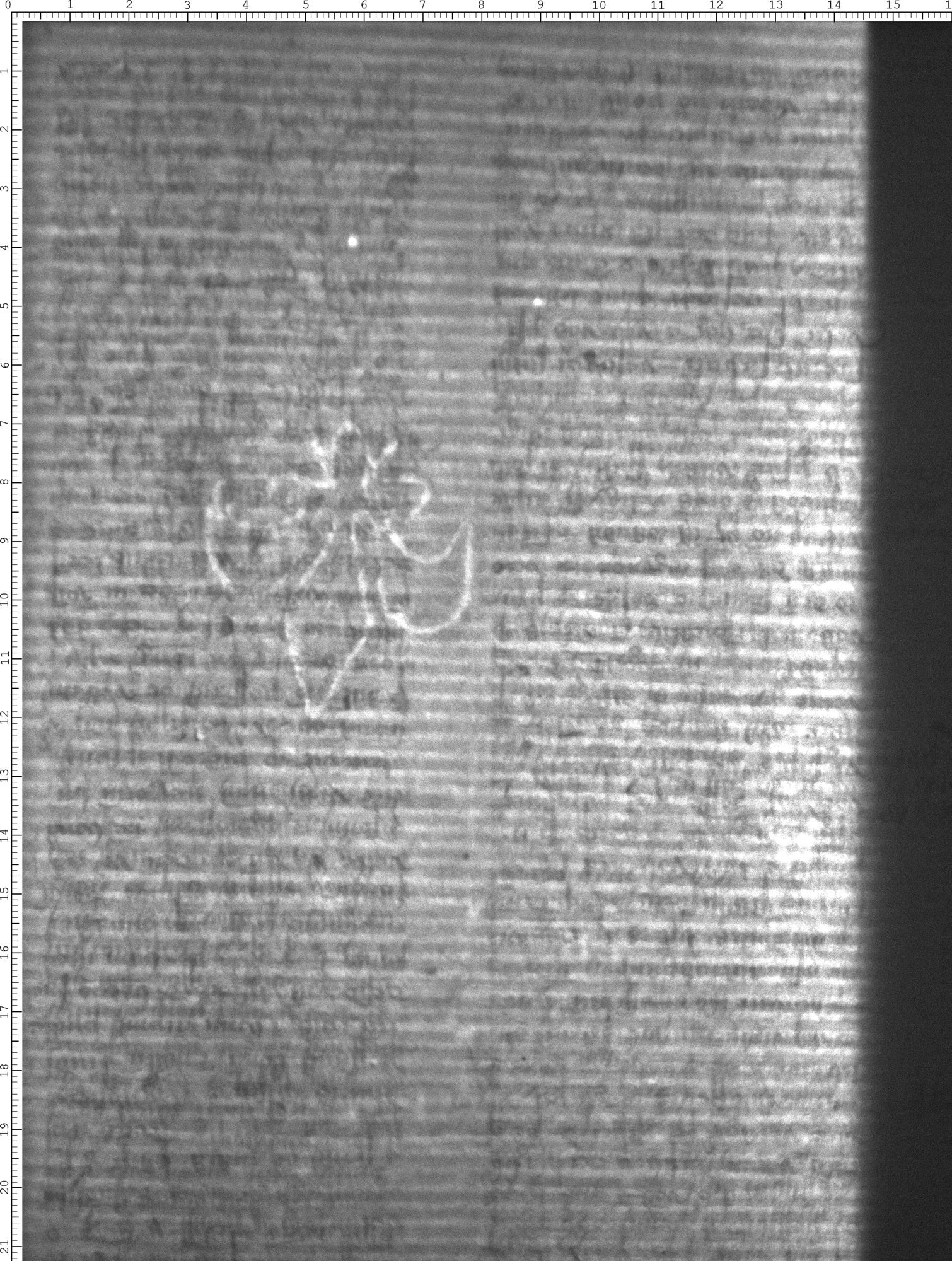 Watermark