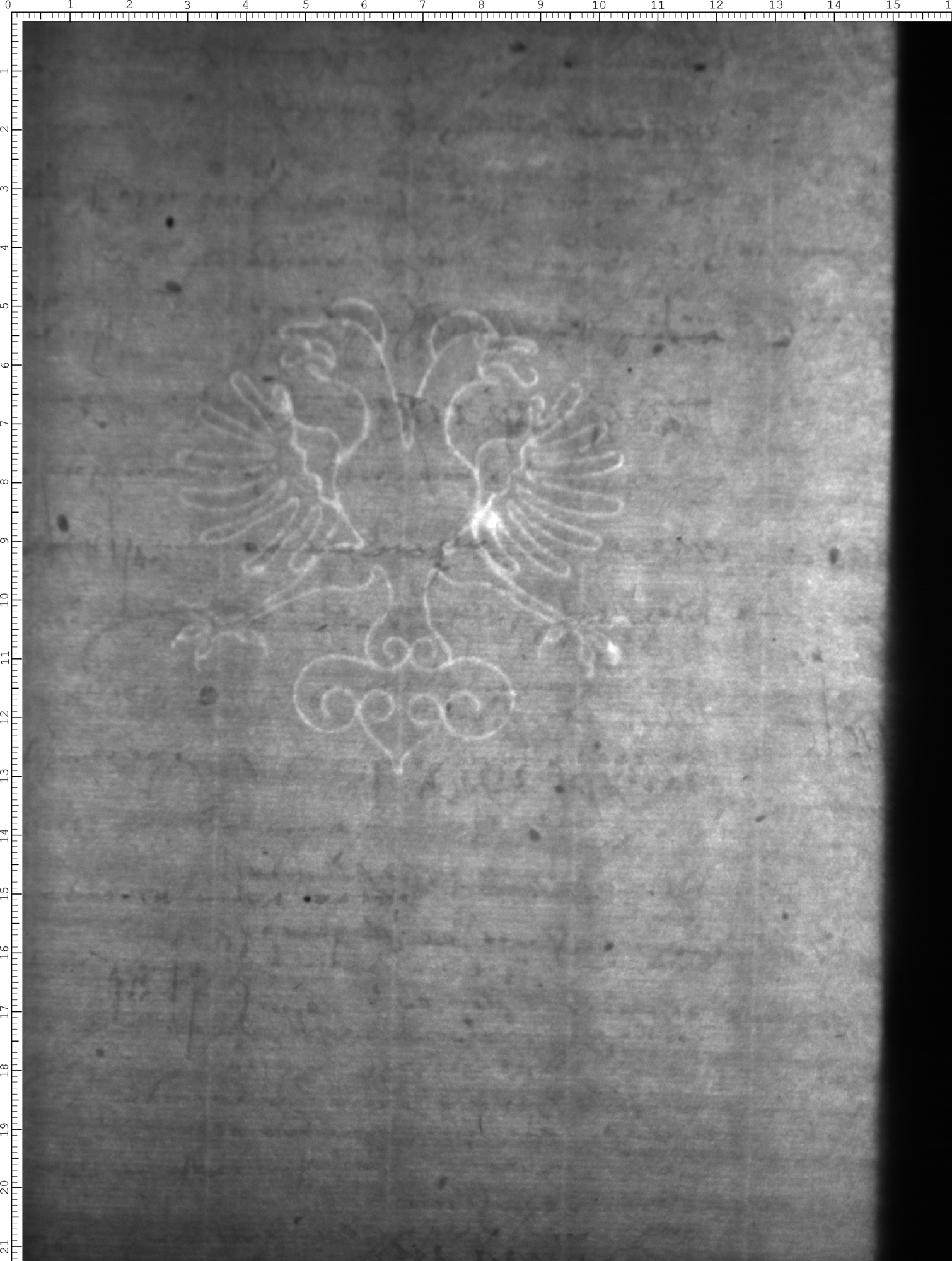 Watermark