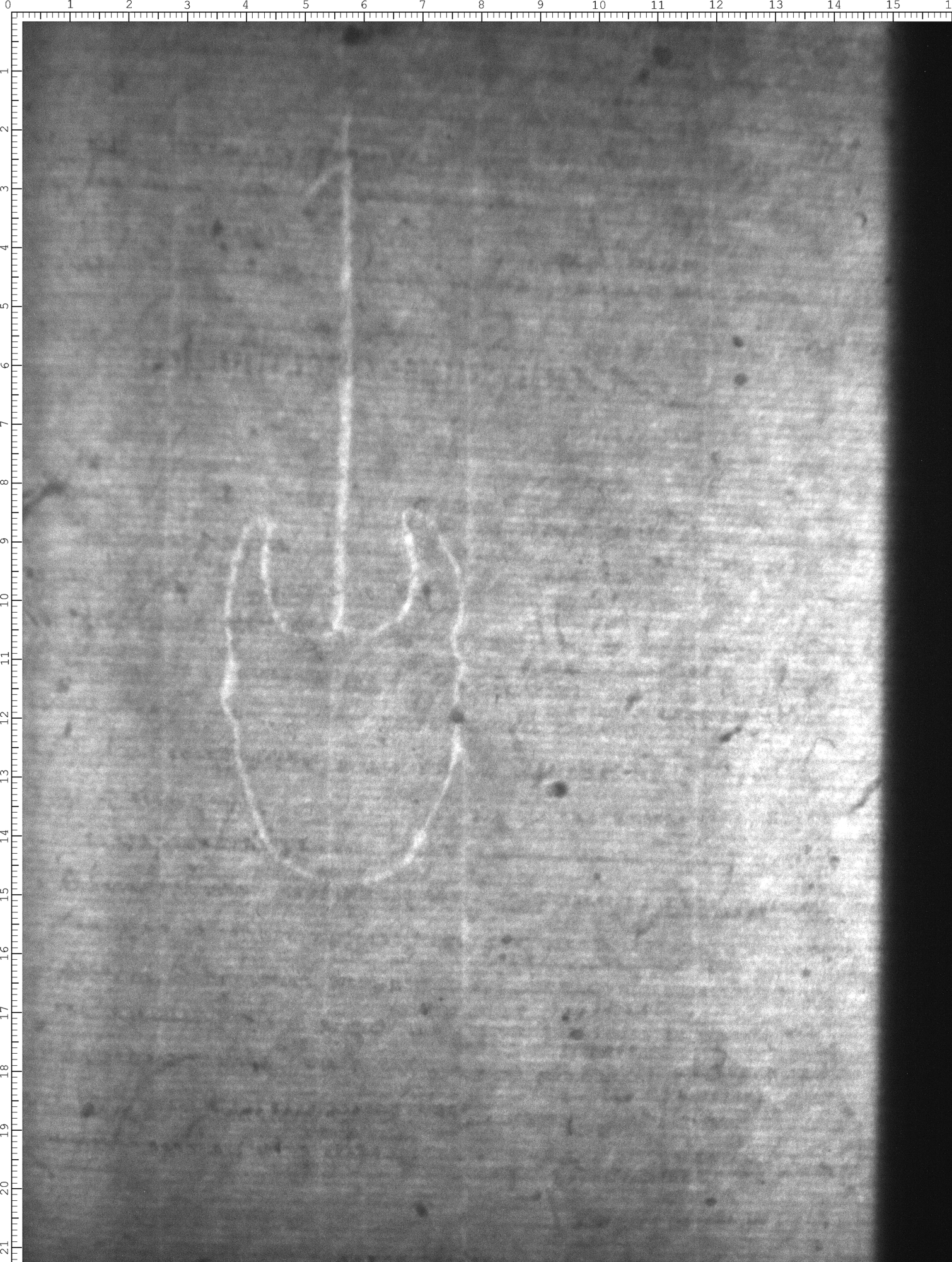 Watermark
