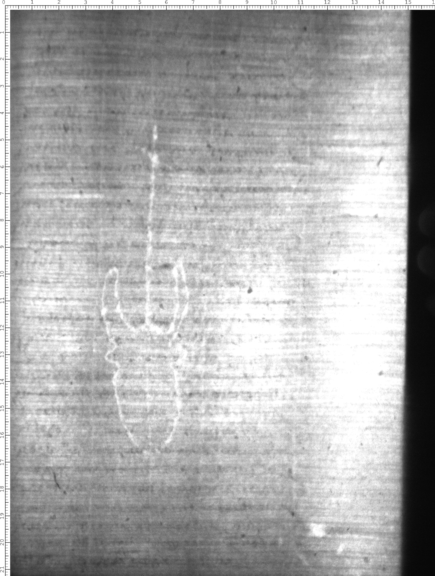 Watermark