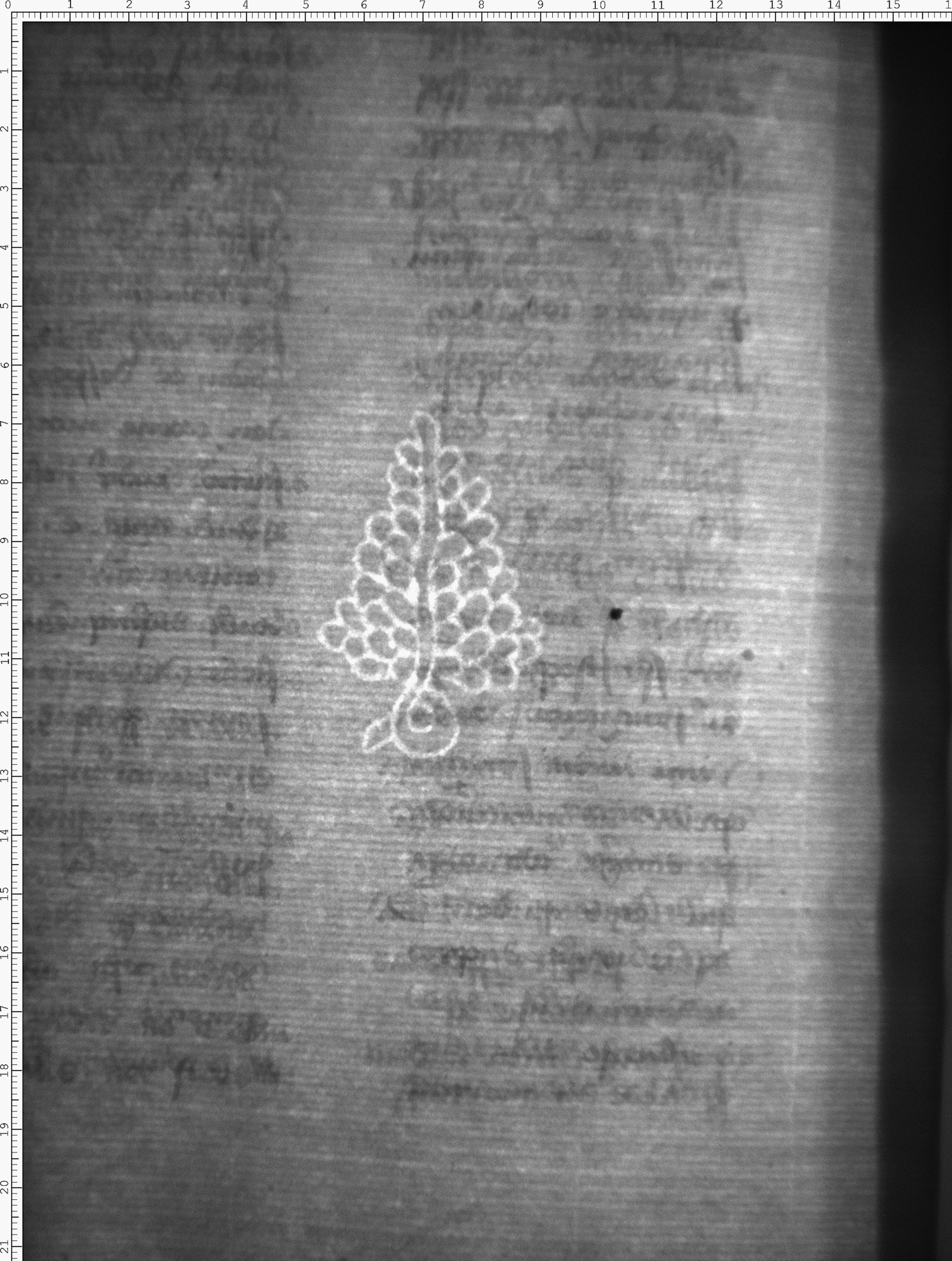 Watermark