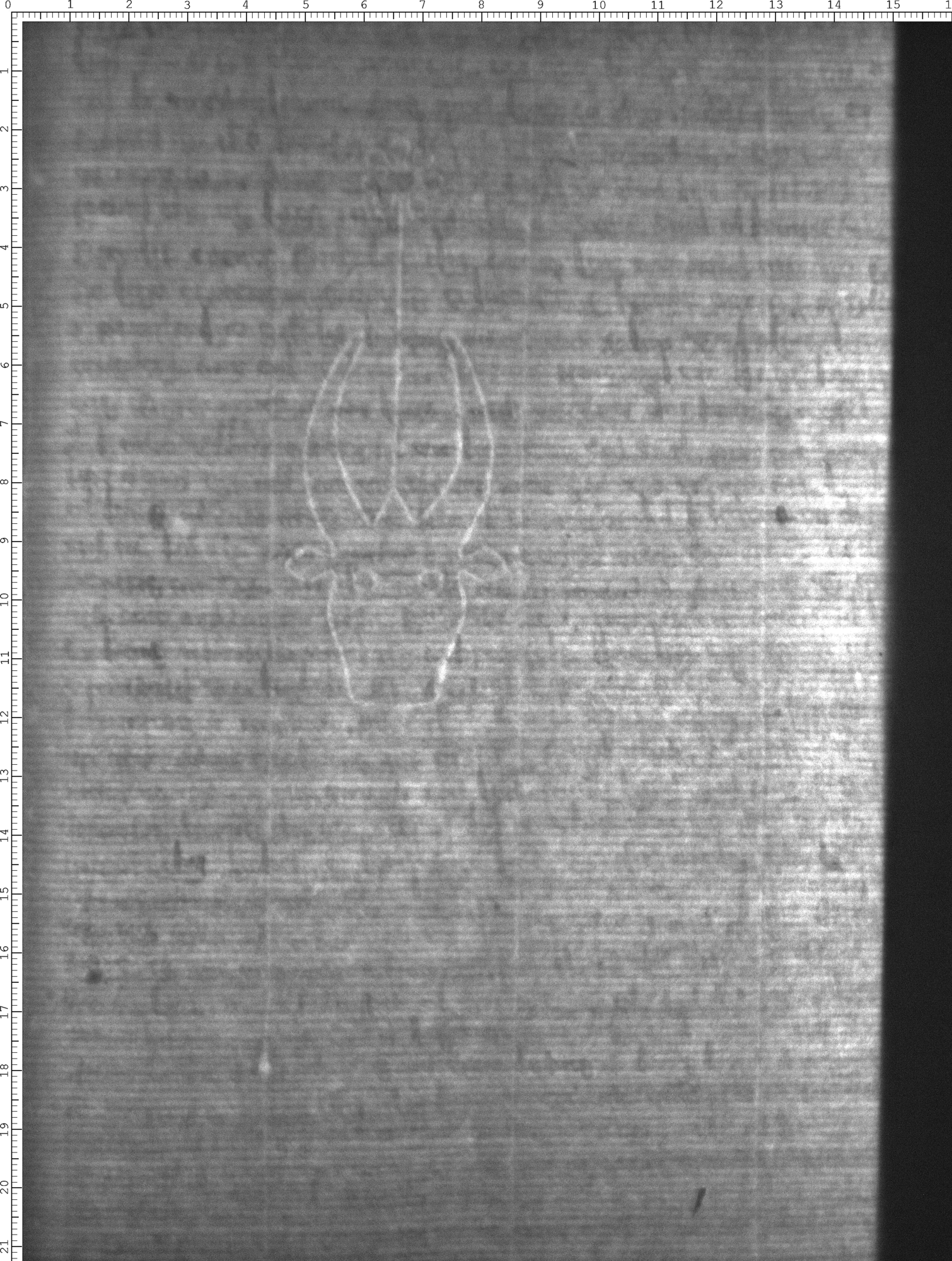 Watermark