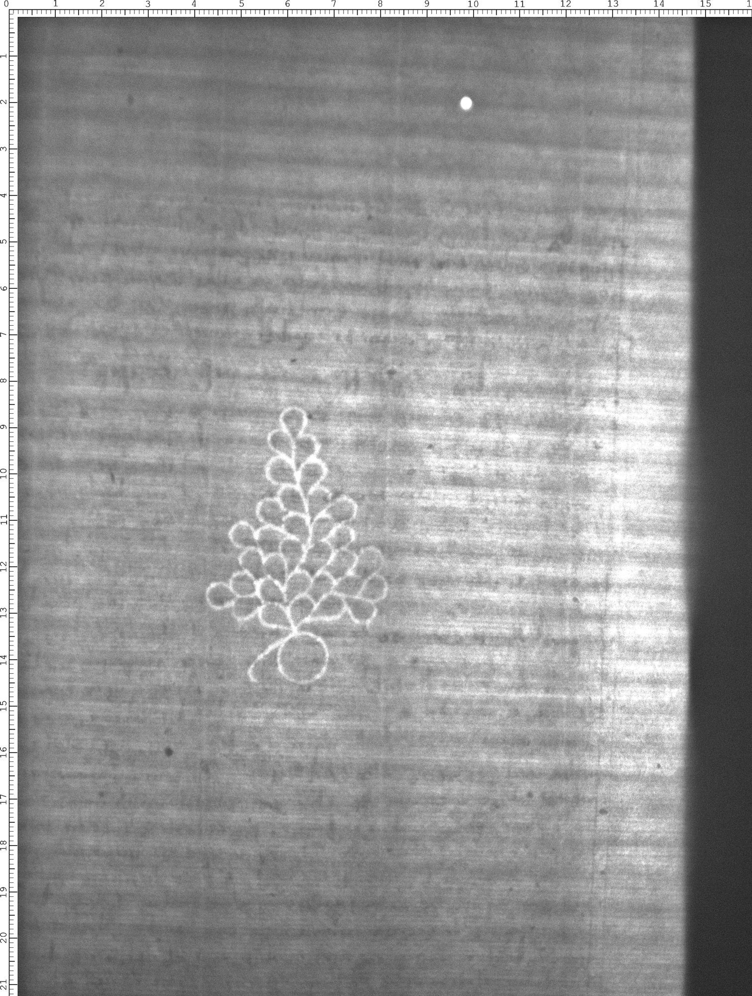 Watermark