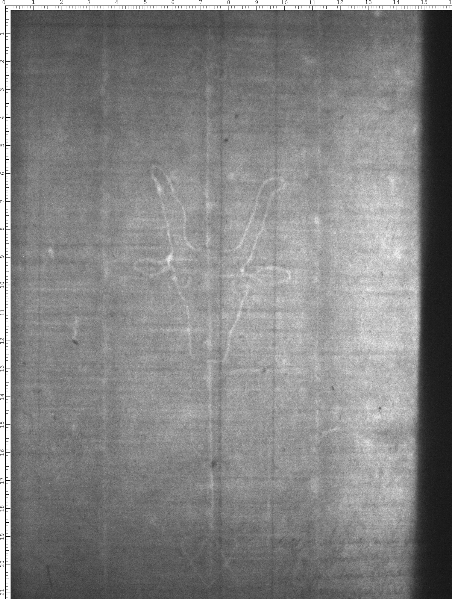 Watermark